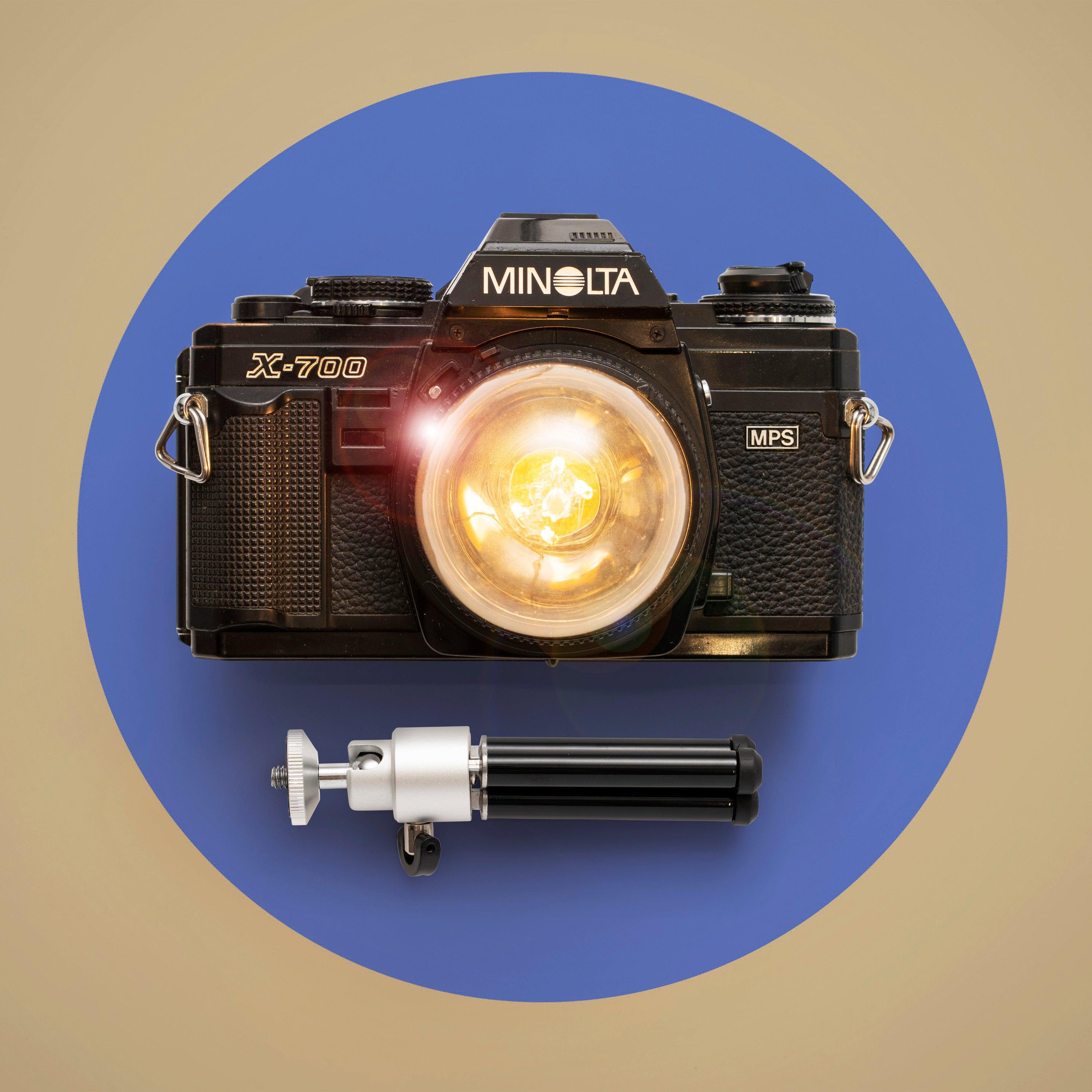Cute Camera Co. Desk Lamp - Cute Camera Co.