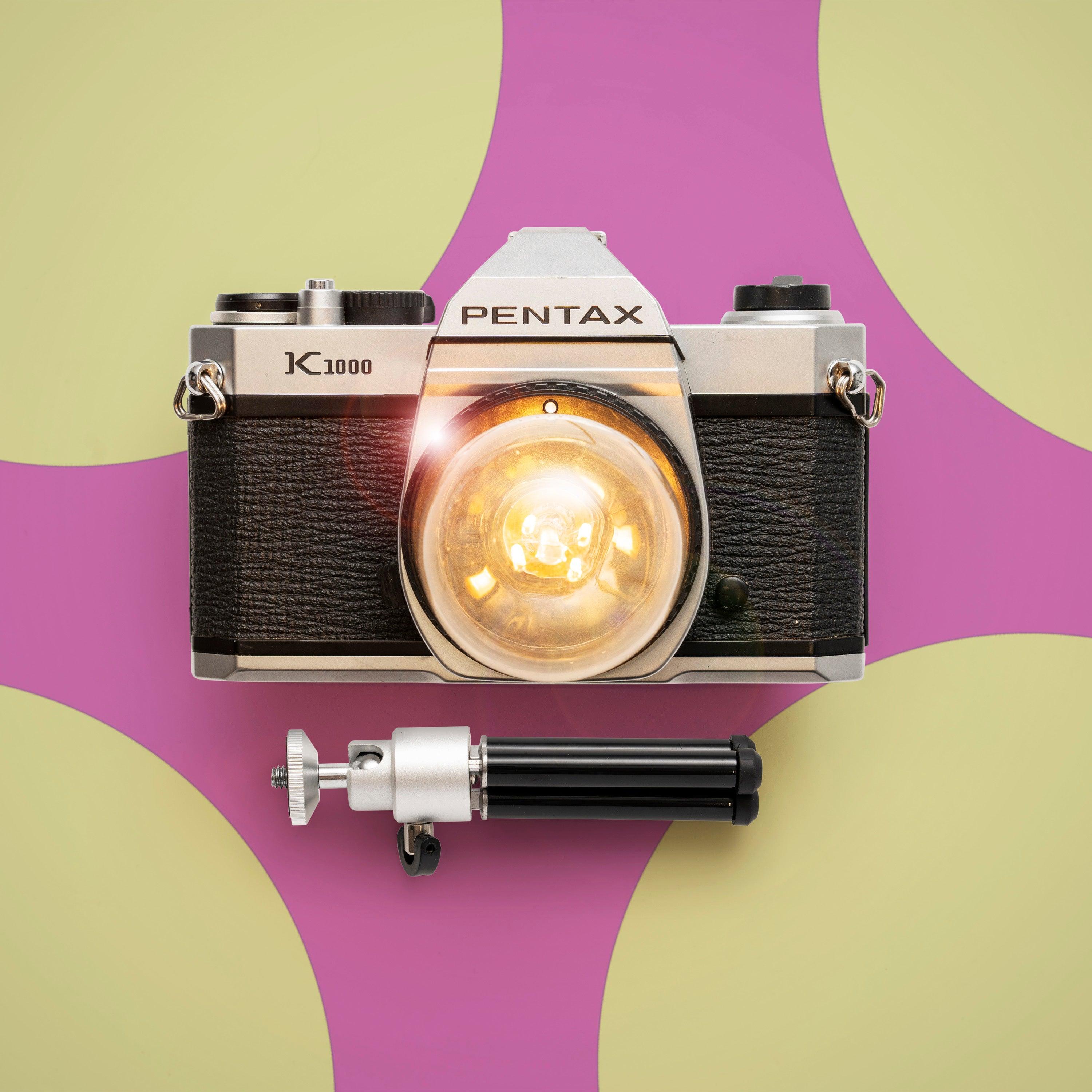 Cute Camera Co. Desk Lamp - Cute Camera Co.