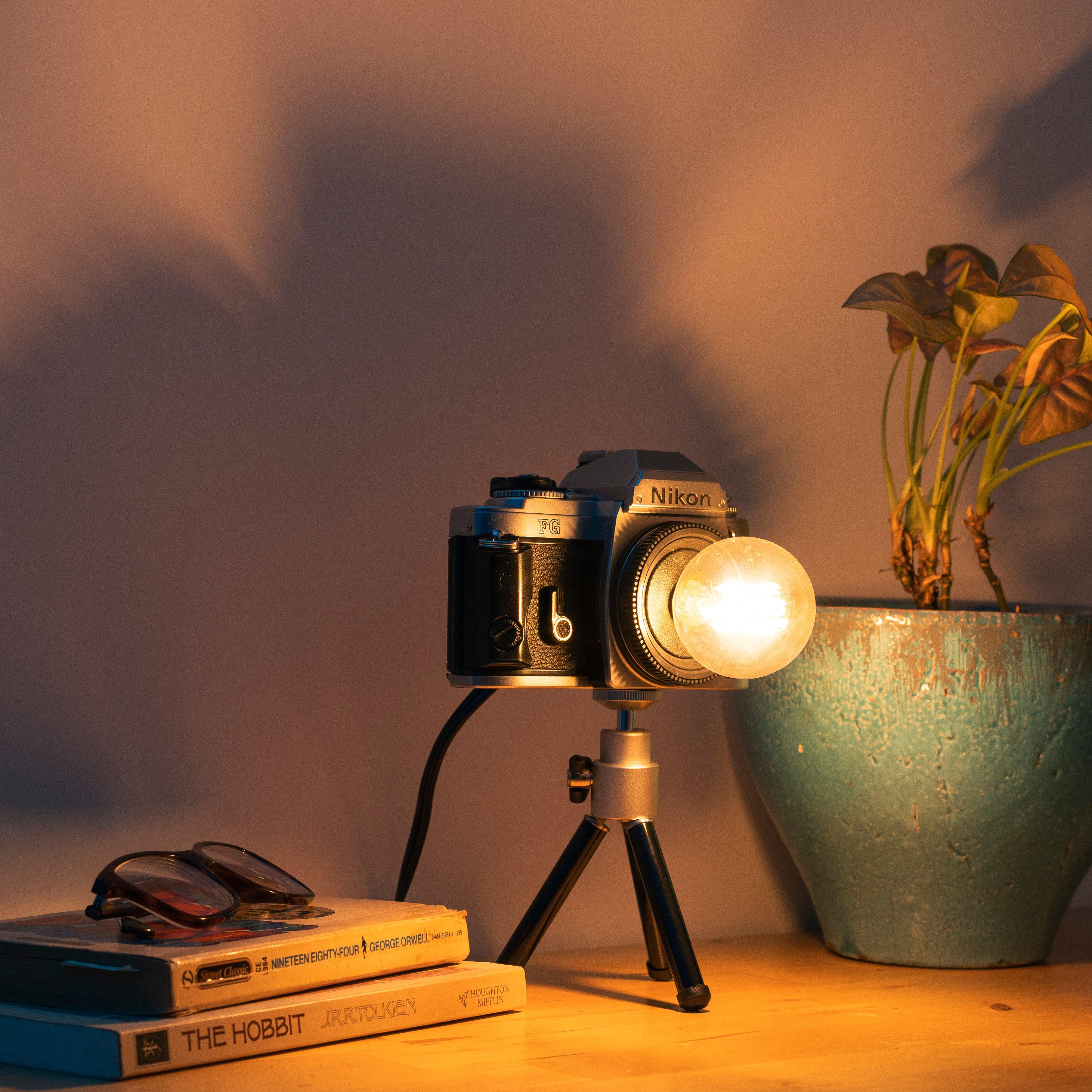 Cute Camera Co. Desk Lamp - Cute Camera Co.