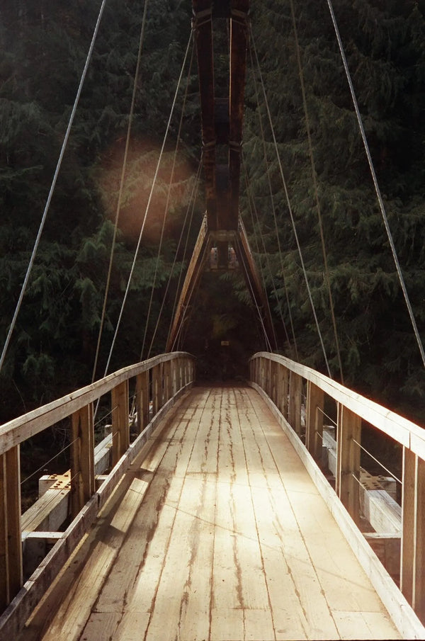 #FILMFORYALL: OLIVIA WALTERS