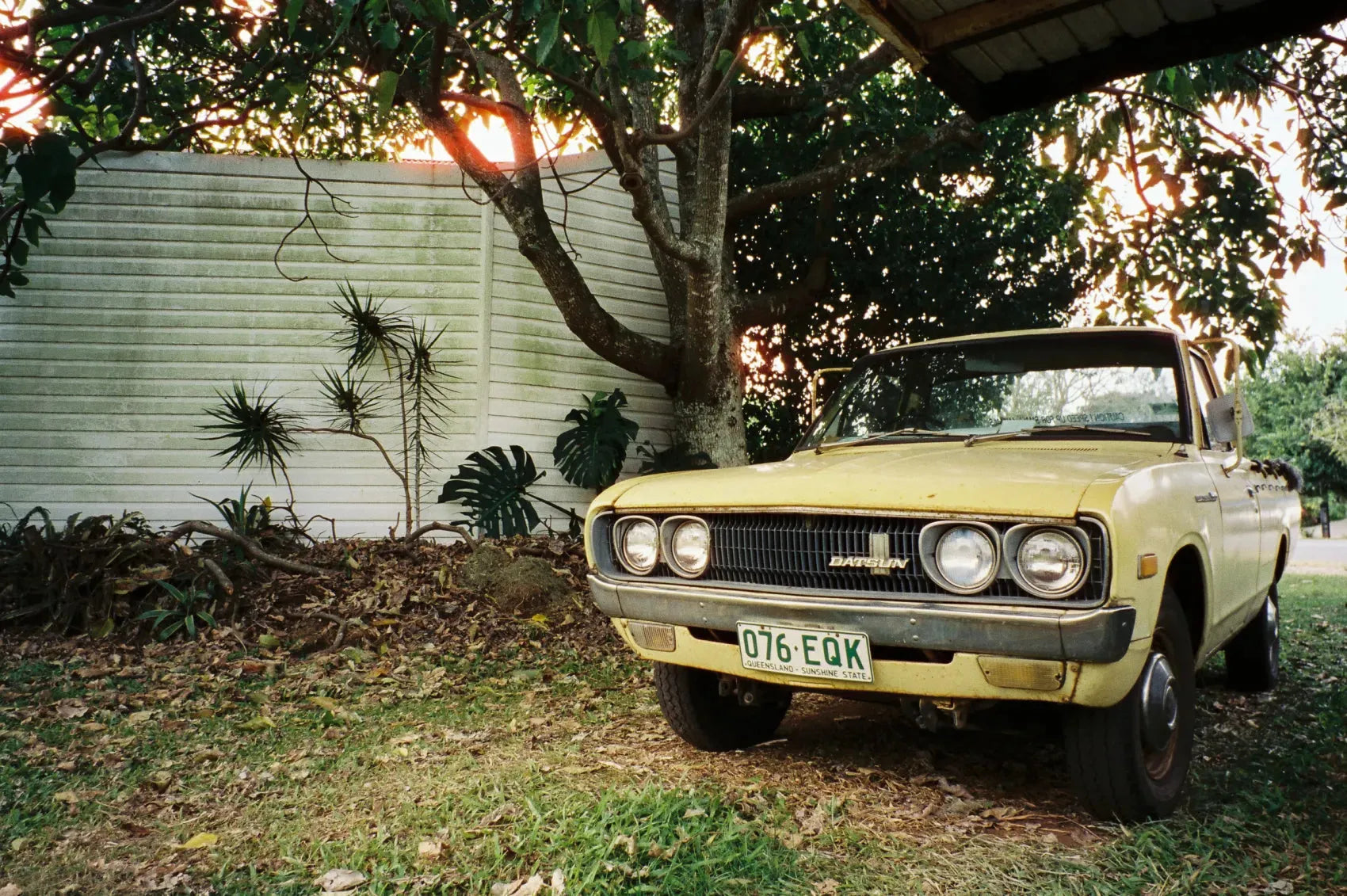 CineStill 400D - 35mm Color Film - Cute Camera Co.