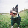 Lomography LC-Wide | Point and Shoot 35mm Film Camera