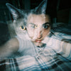 Lomography Apparat Wide-angle | Point and Shoot 35mm Film Camera