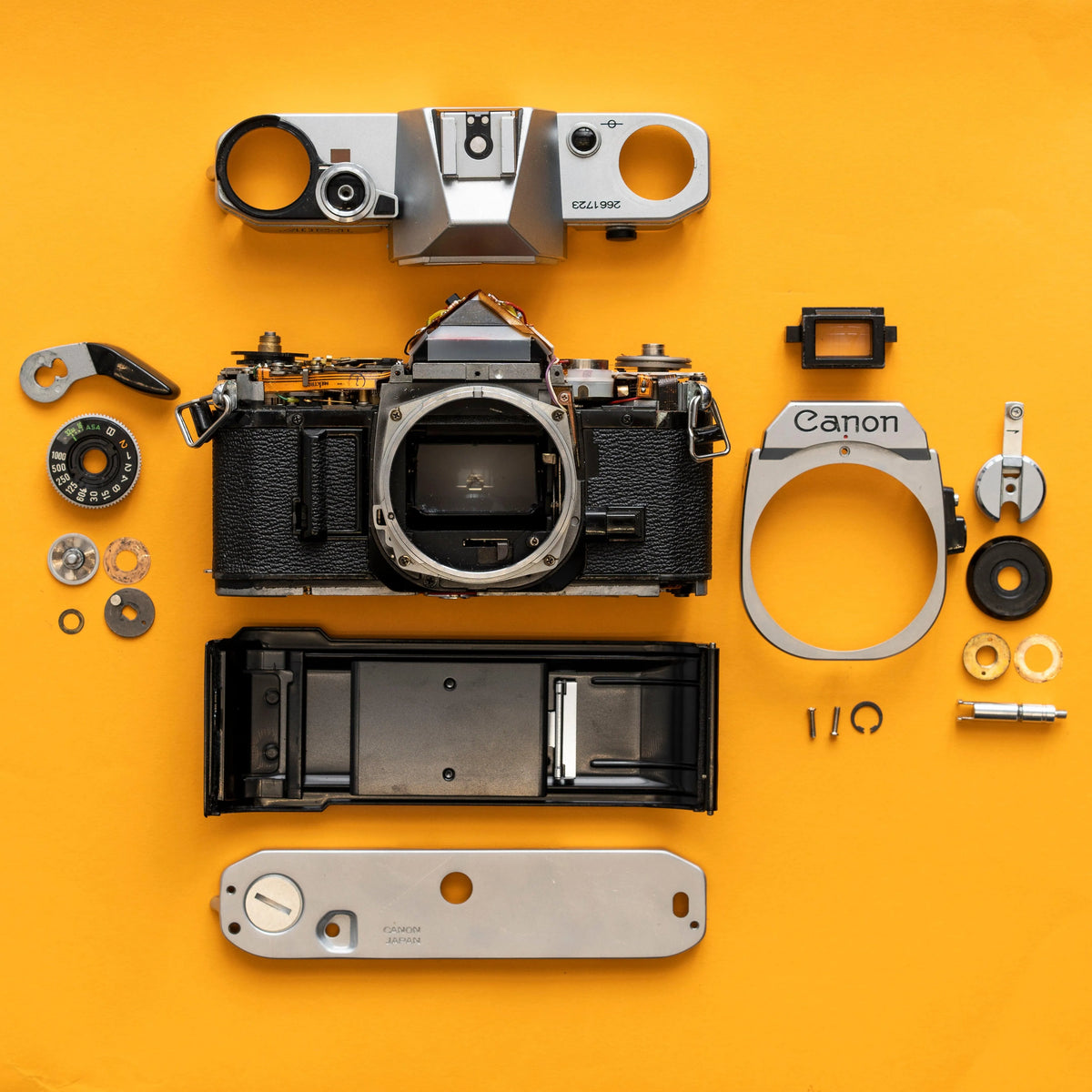 Service and Repairs - Cute Camera Co.