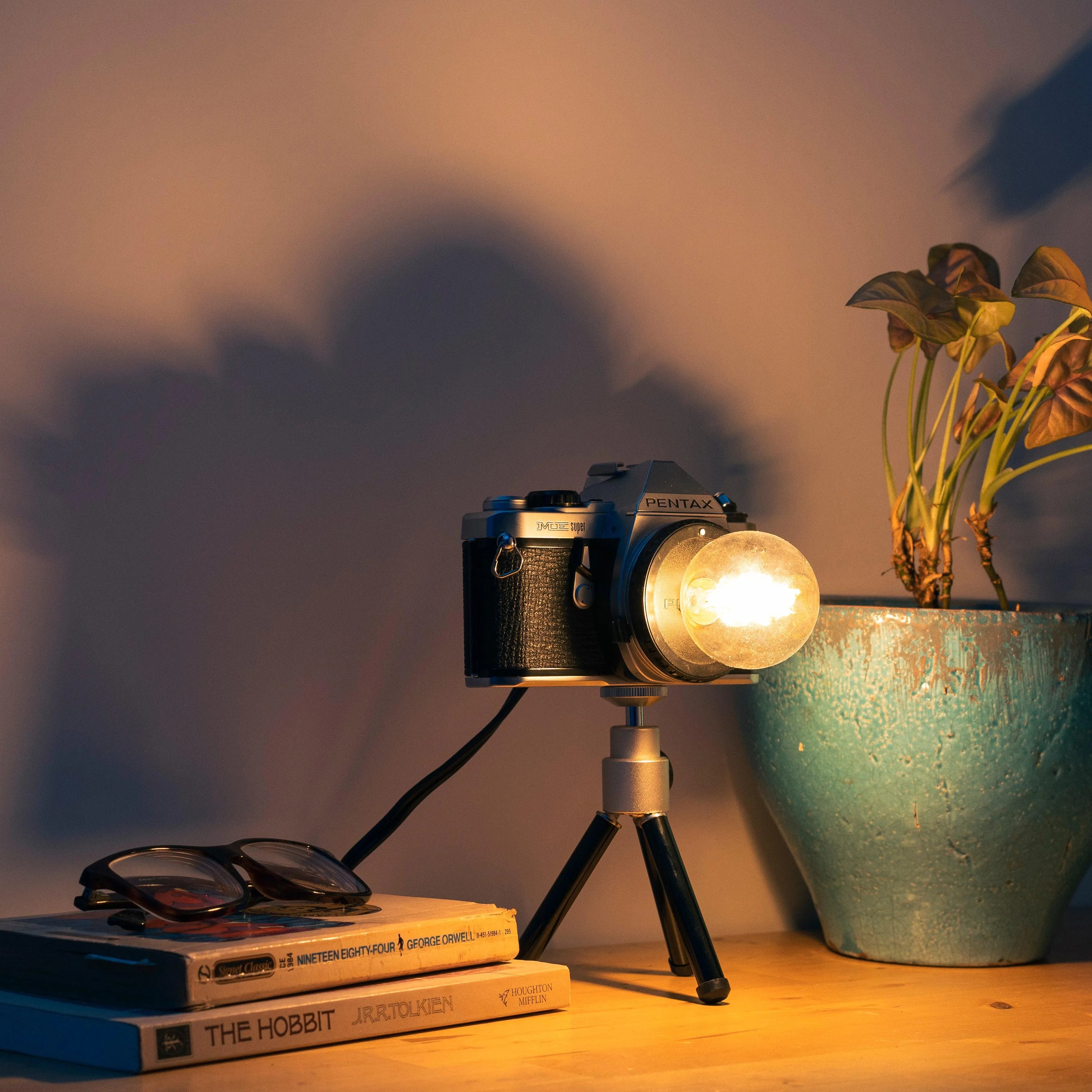 Cute Camera Co. Desk Lamp - Cute Camera Co.
