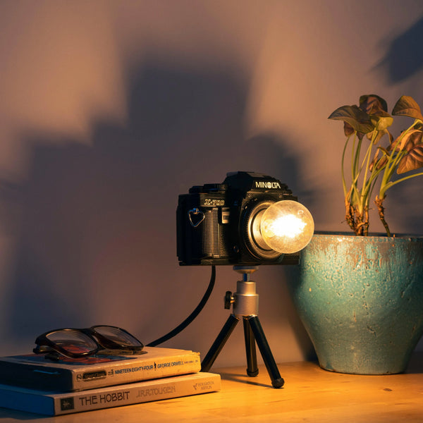 Cute Camera Co. Desk Lamp - Cute Camera Co.