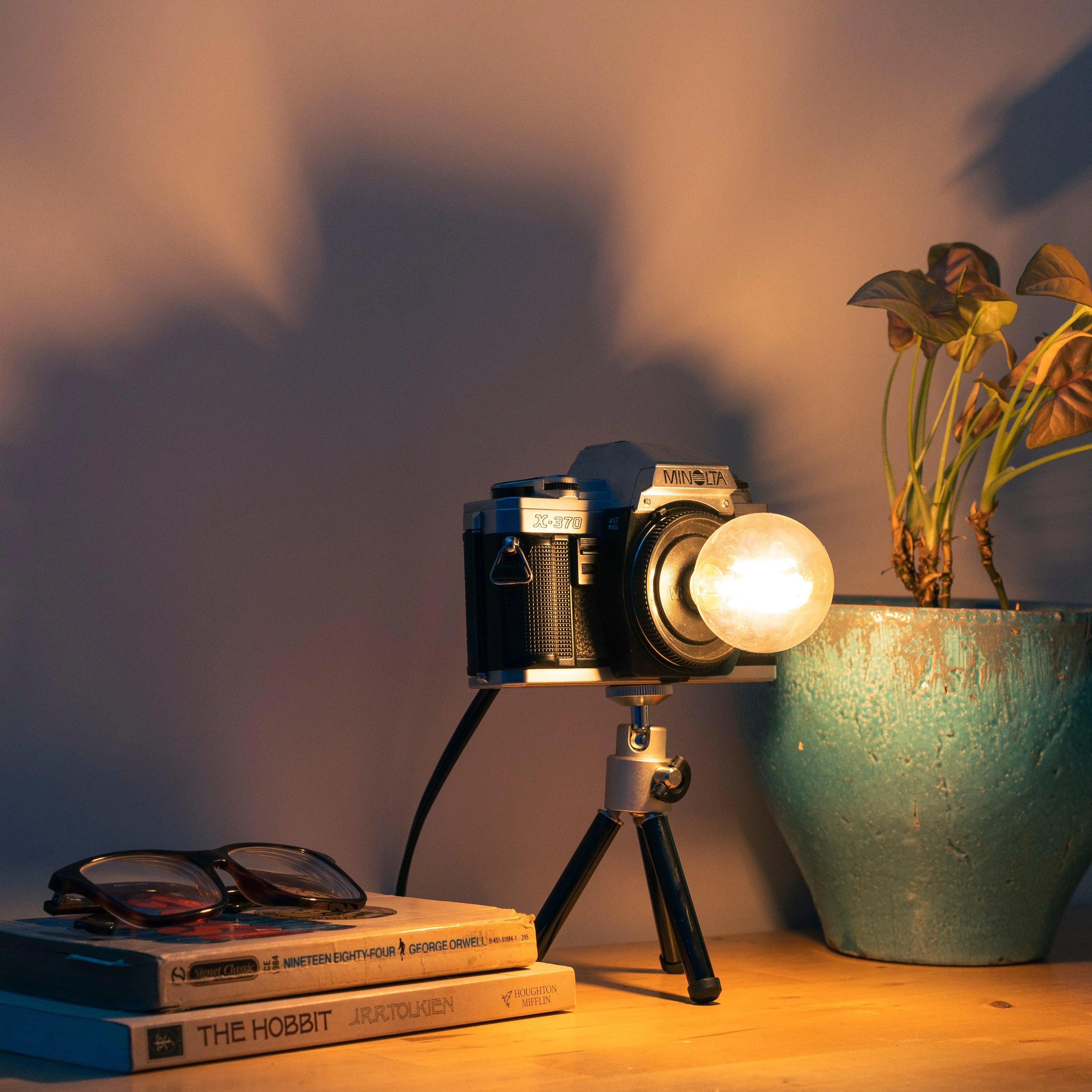 Cute Camera Co. Desk Lamp - Cute Camera Co.