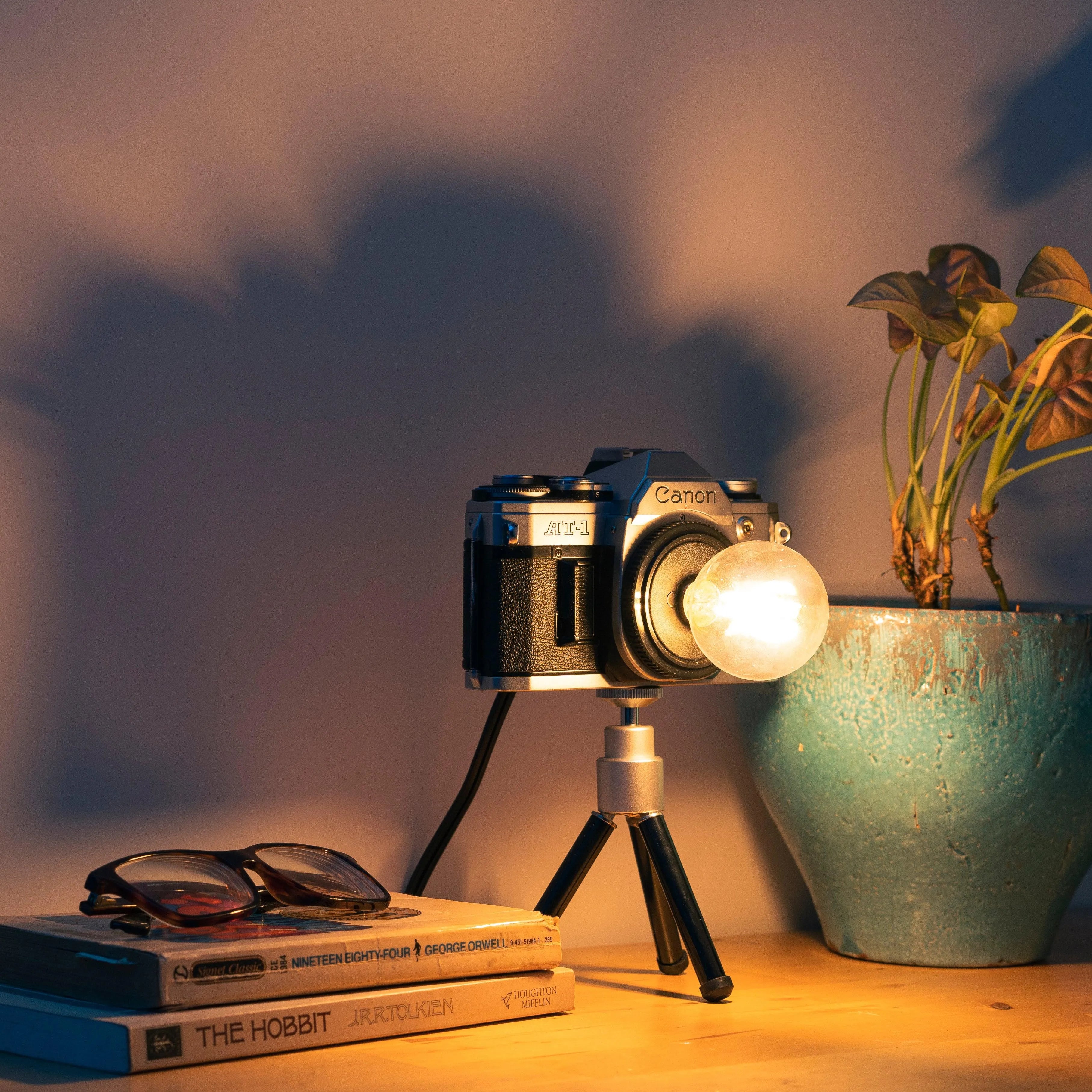 Cute Camera Co. Desk Lamp - Cute Camera Co.