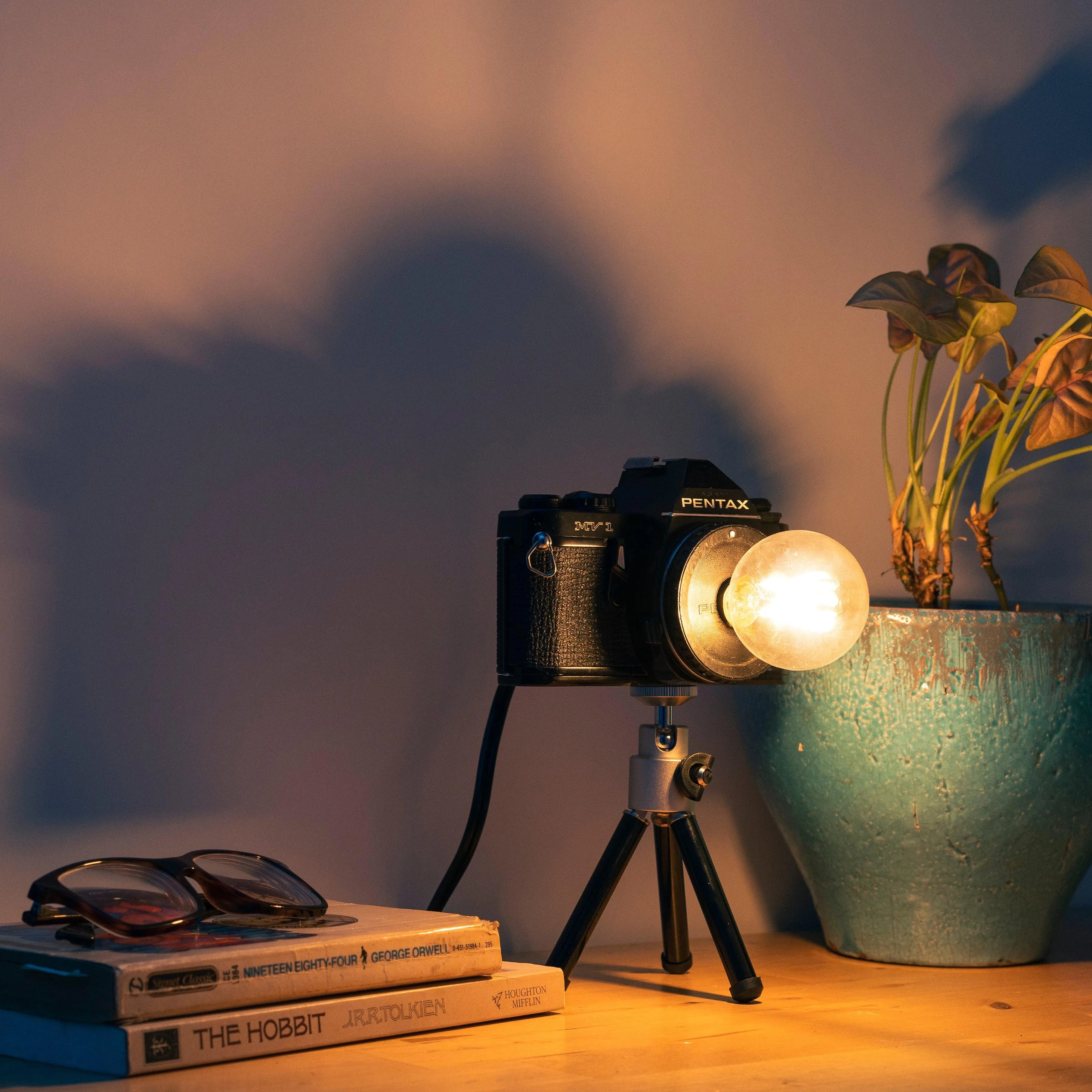 Cute Camera Co. Desk Lamp - Cute Camera Co.
