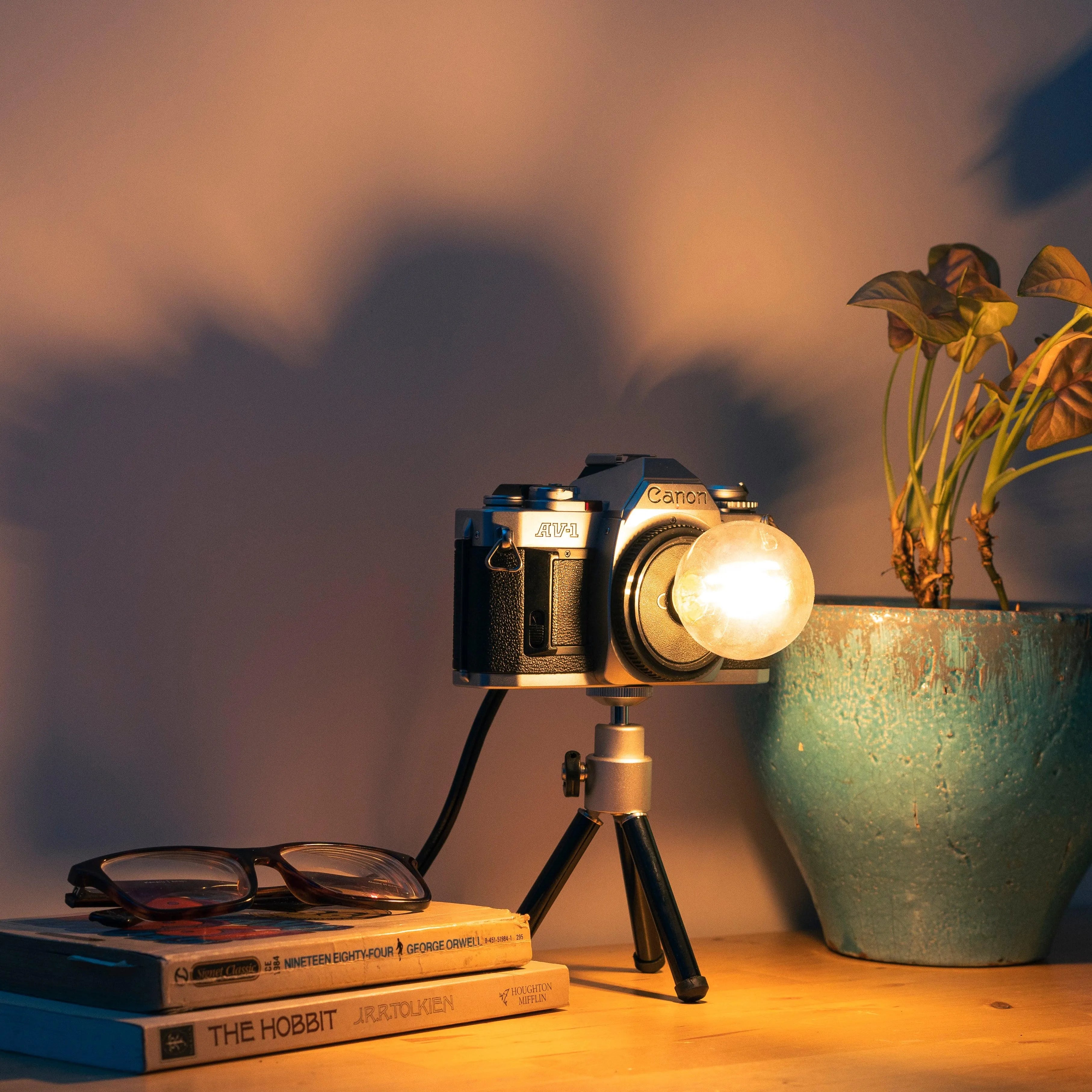 Cute Camera Co. Desk Lamp - Cute Camera Co.