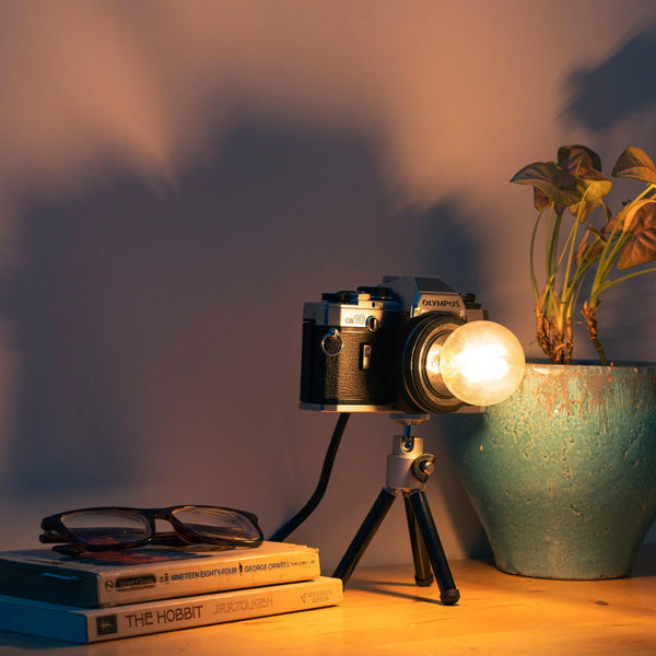 Cute Camera Co. Desk Lamp - Cute Camera Co.