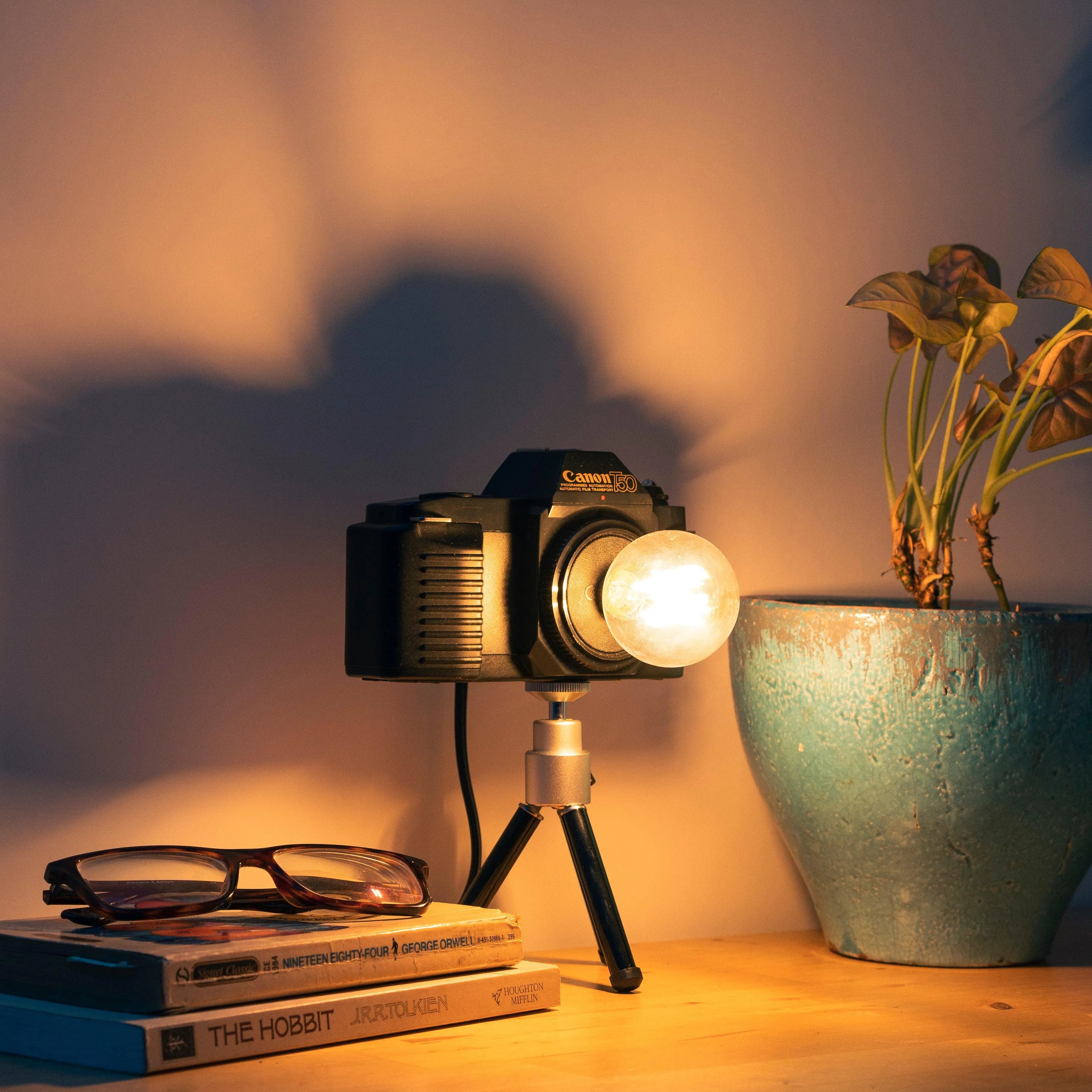 Cute Camera Co. Desk Lamp - Cute Camera Co.