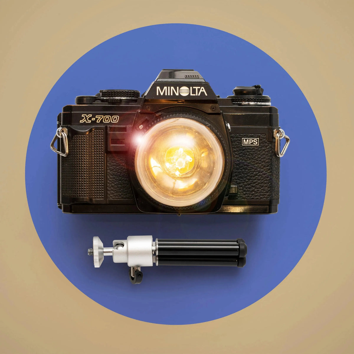 Cute Camera Co. Desk Lamp - Cute Camera Co.