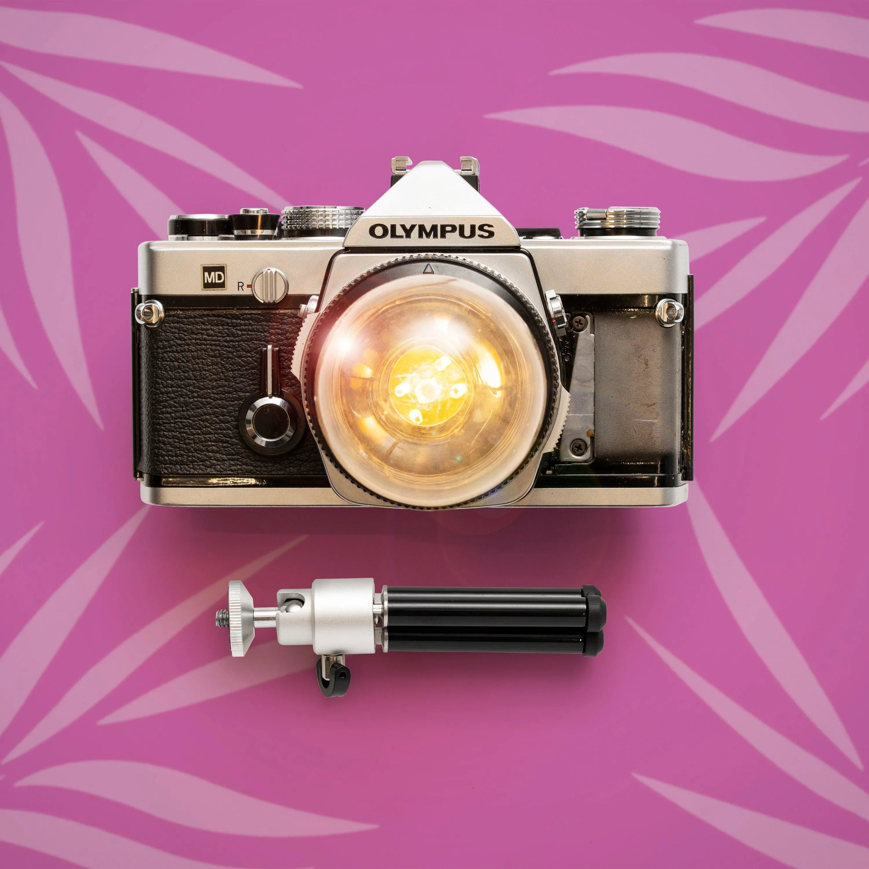 Cute Camera Co. Desk Lamp - Cute Camera Co.