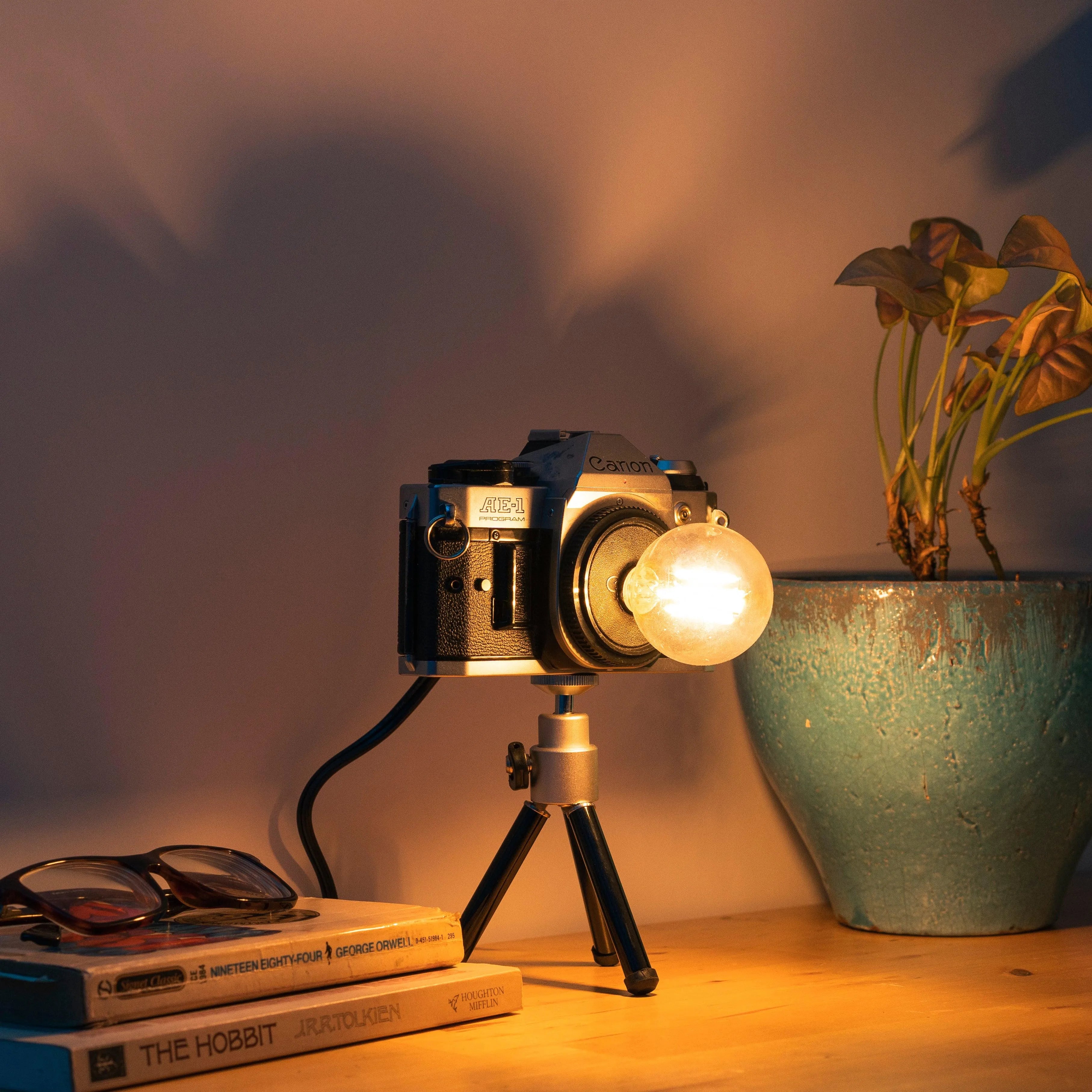 Cute Camera Co. Desk Lamp - Cute Camera Co.