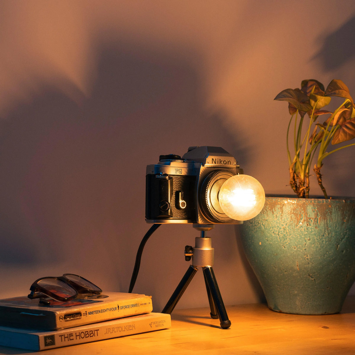 Cute Camera Co. Desk Lamp - Cute Camera Co.