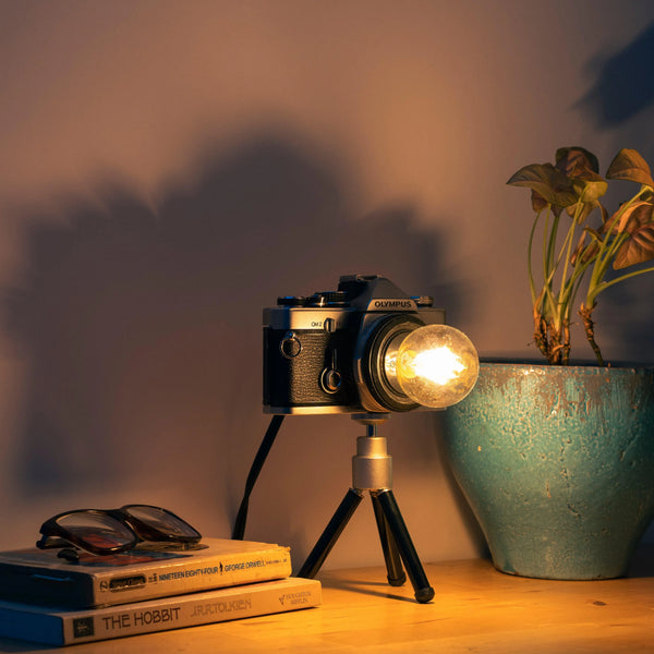 Cute Camera Co. Desk Lamp - Cute Camera Co.