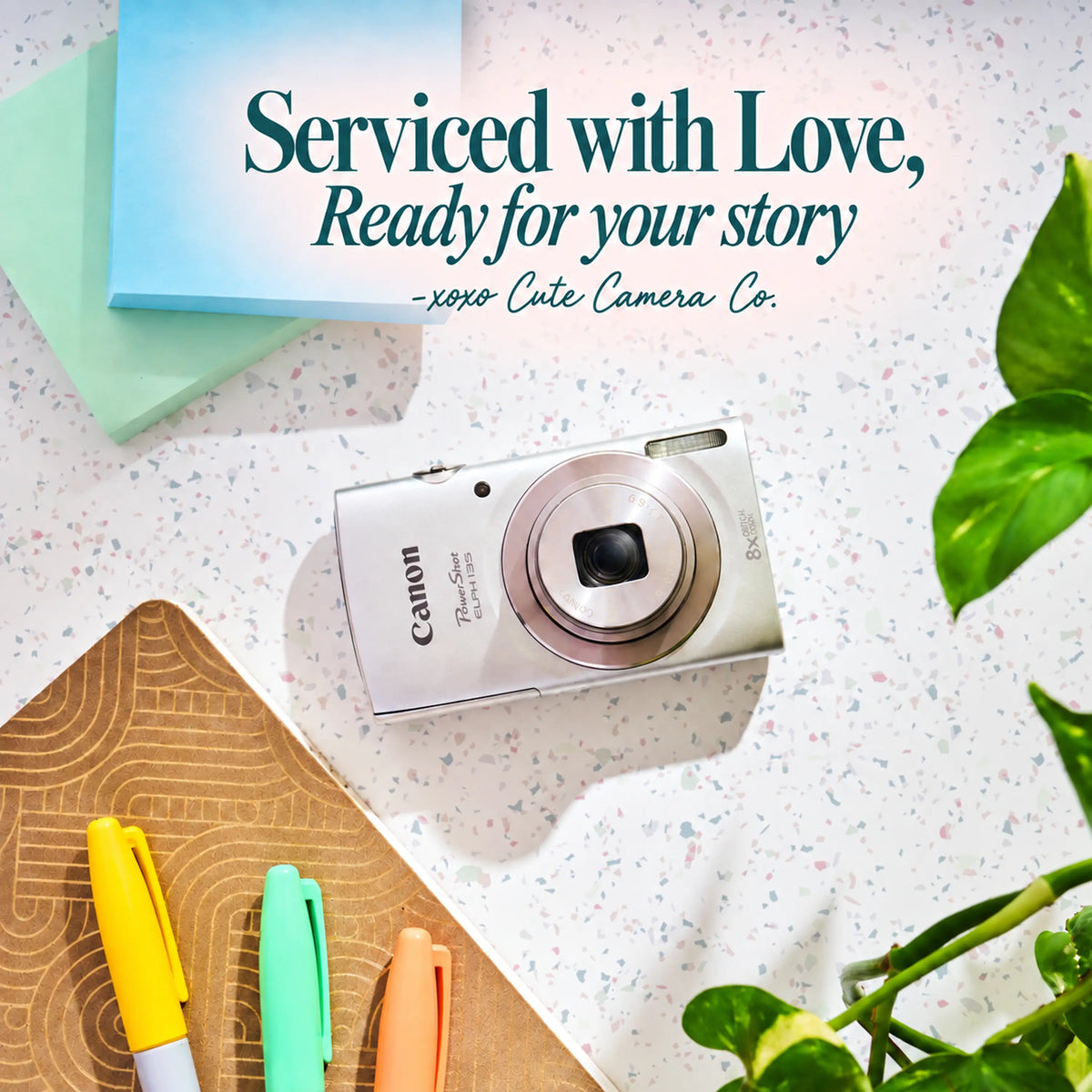 Canon Powershot ELPH 135 | Retro Digicam Point and Shoot Digital Camera