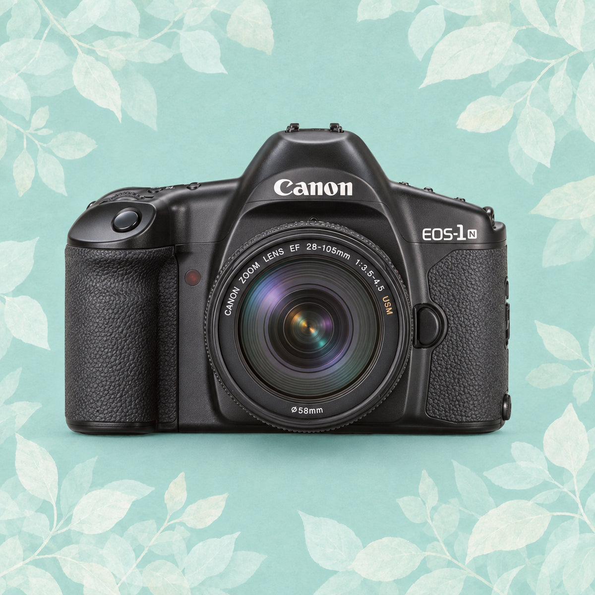 Canon EOS 1N | 35mm Film Camera
