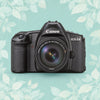 Canon EOS 1N | 35mm Film Camera