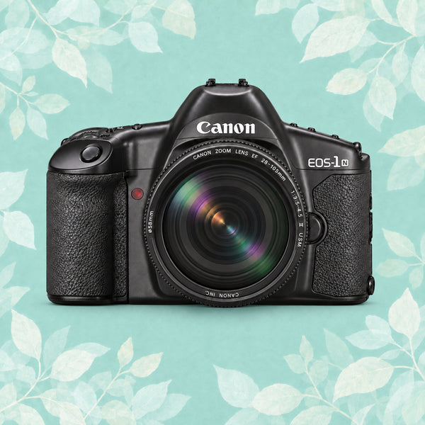 Canon EOS 1N | 35mm Film Camera