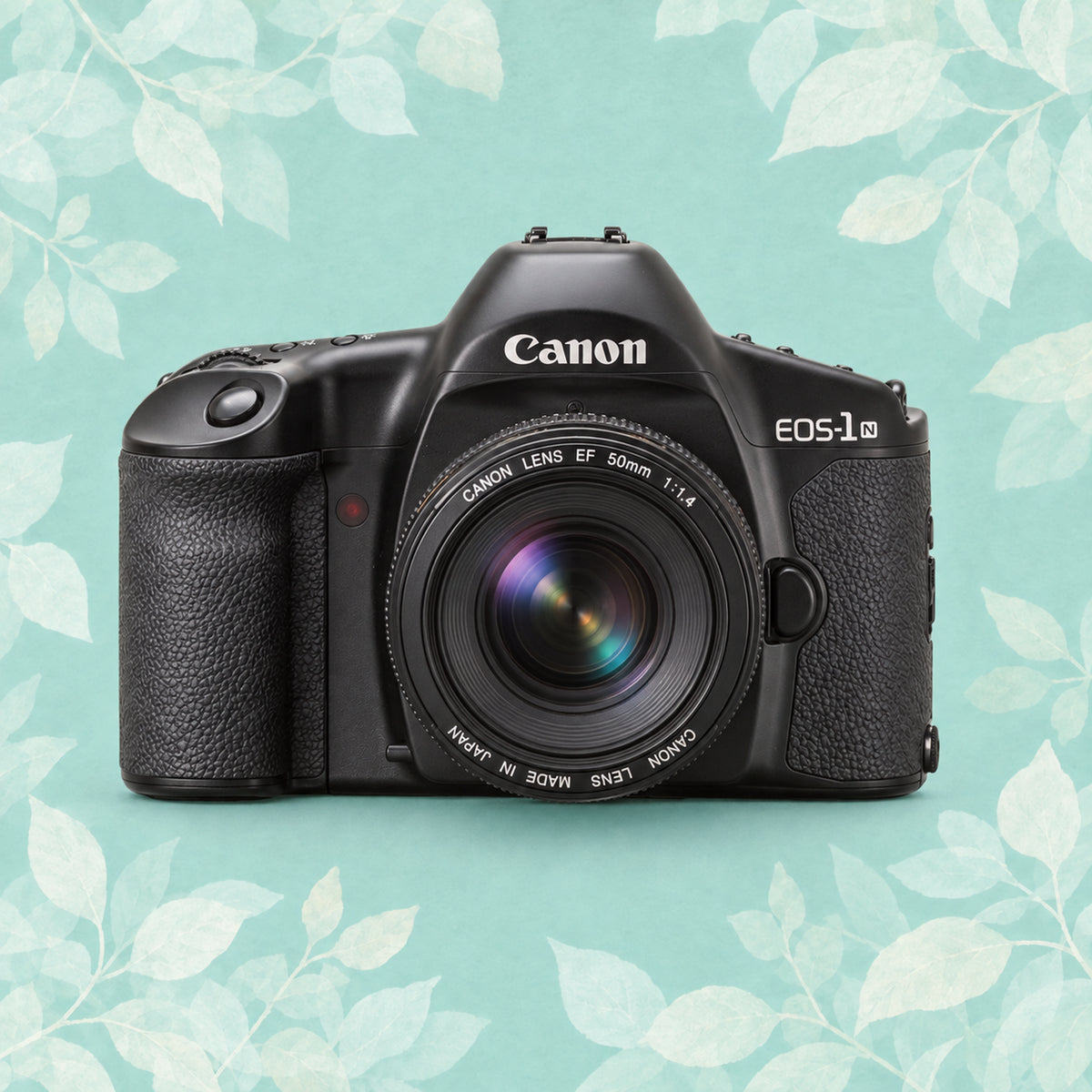 Canon EOS 1N | 35mm Film Camera