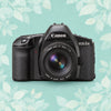 Canon EOS 1N | 35mm Film Camera
