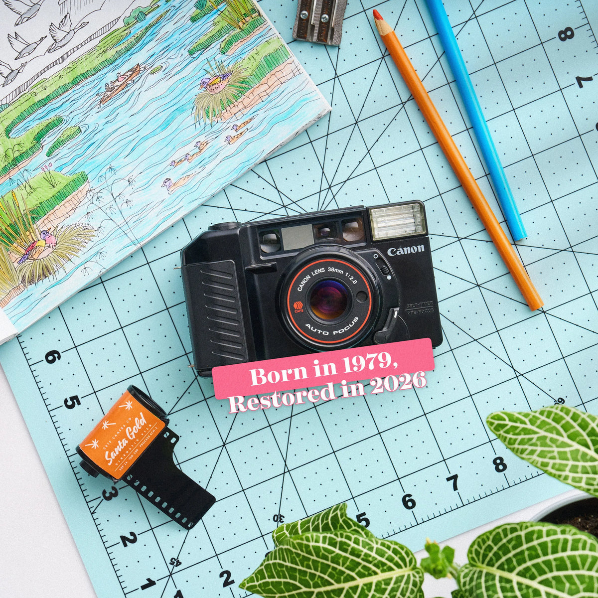 Restored Canon AF35M 35mm Point and Shoot Film Camera