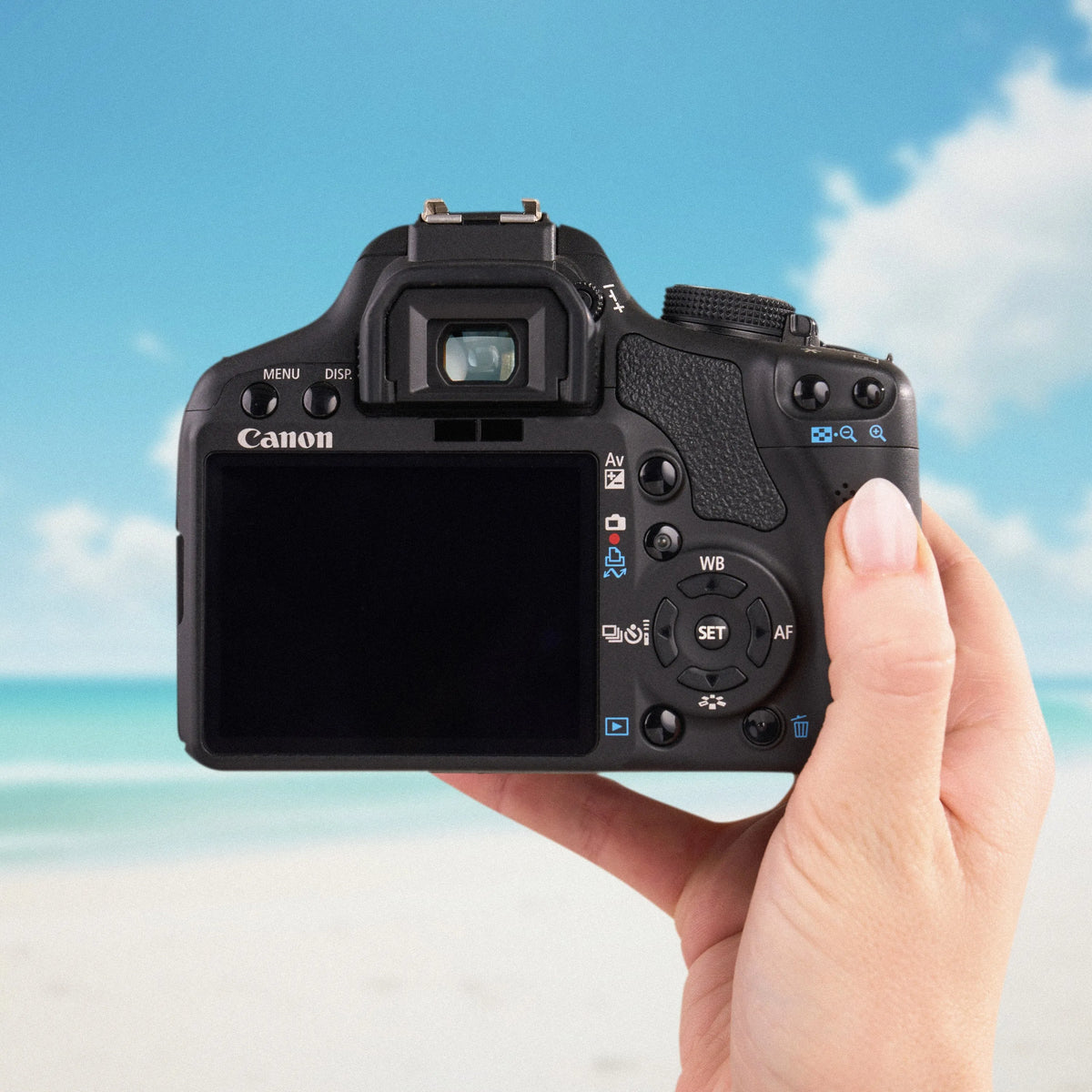 Back view of the Canon Rebel T1i showing its LCD screen and controls against a beach backdrop