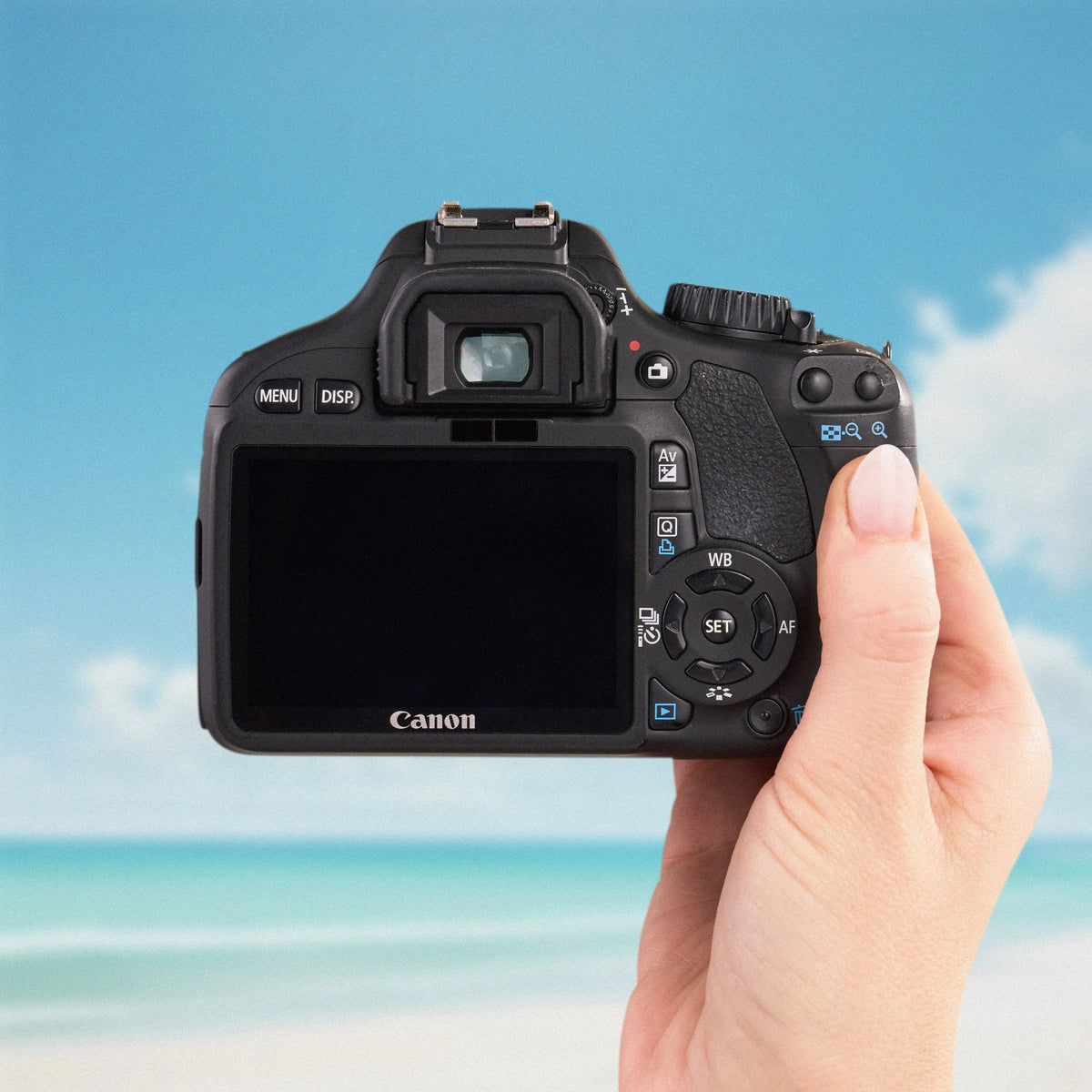 Back view of the Canon Rebel T2i showing its LCD screen and controls against a beach backdrop