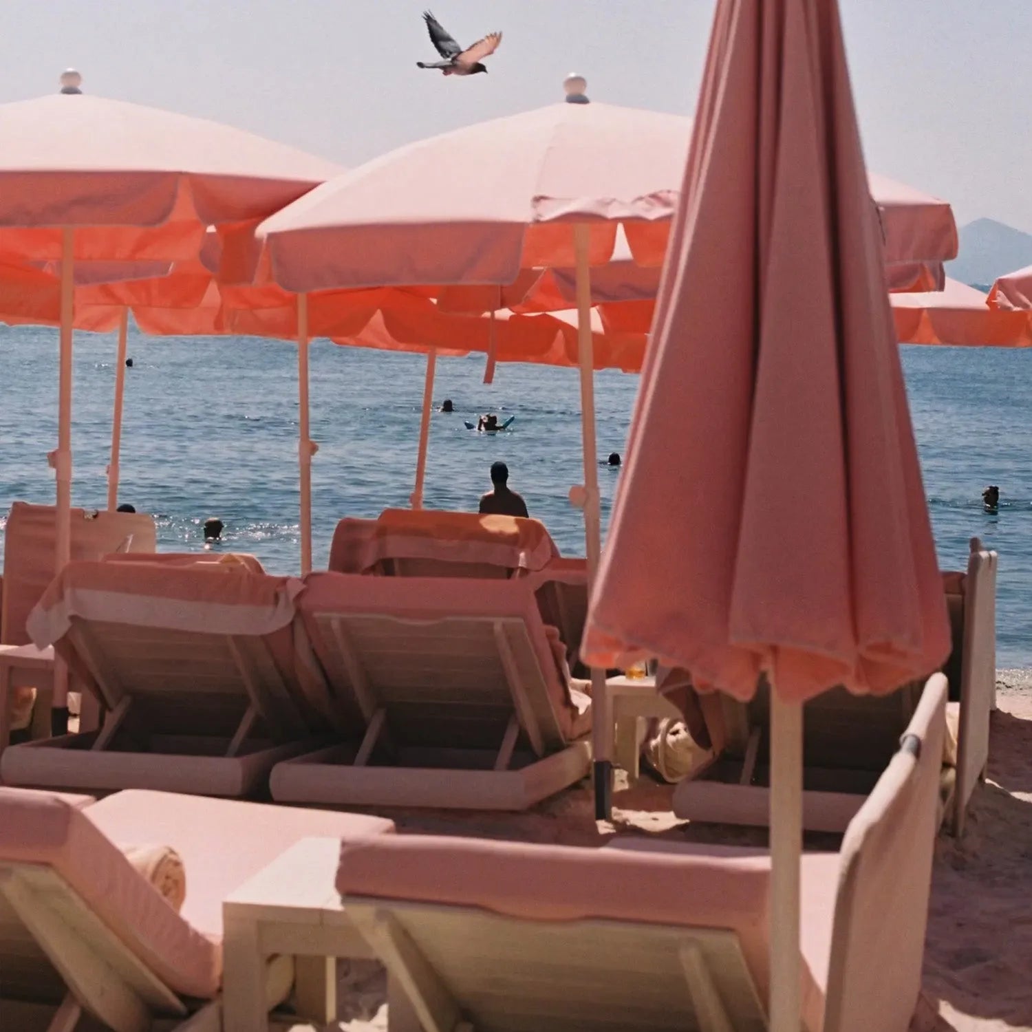 Canon Sure Shot 85 Zoom |  35mm Point and Shoot Film Camera