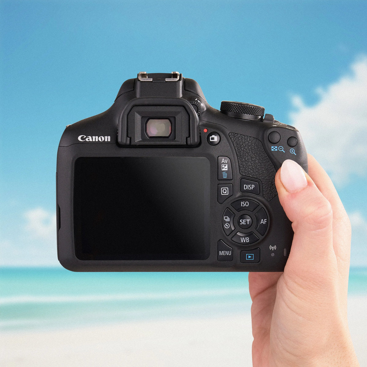 Back view of the Canon Rebel T7 showing its LCD screen and controls against a beach backdrop