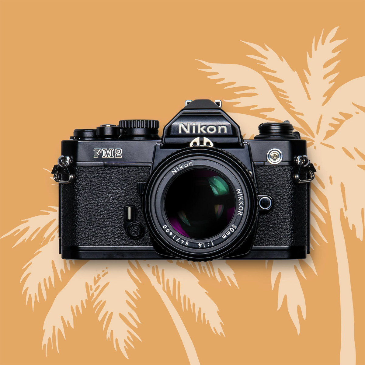 Nikon FM2 Film Camera, black on a brown background with palm tree silhouettes
