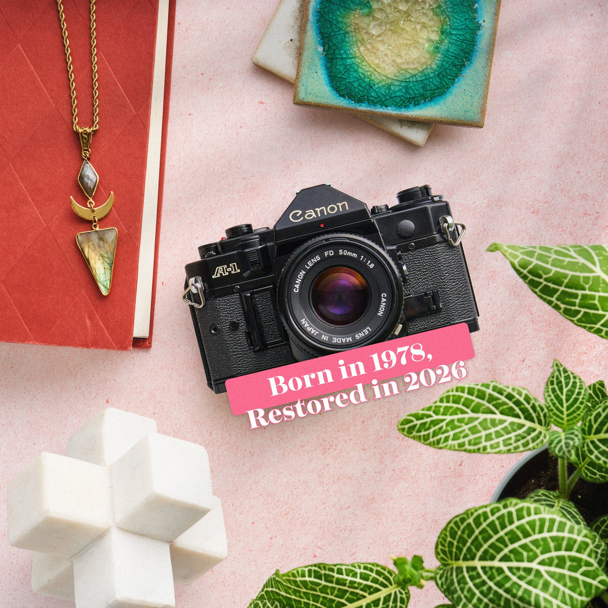 Canon A-1 | 35mm Film Camera with text 'Born in 1978, Restored in 2026' on a pink surface with decorative items.