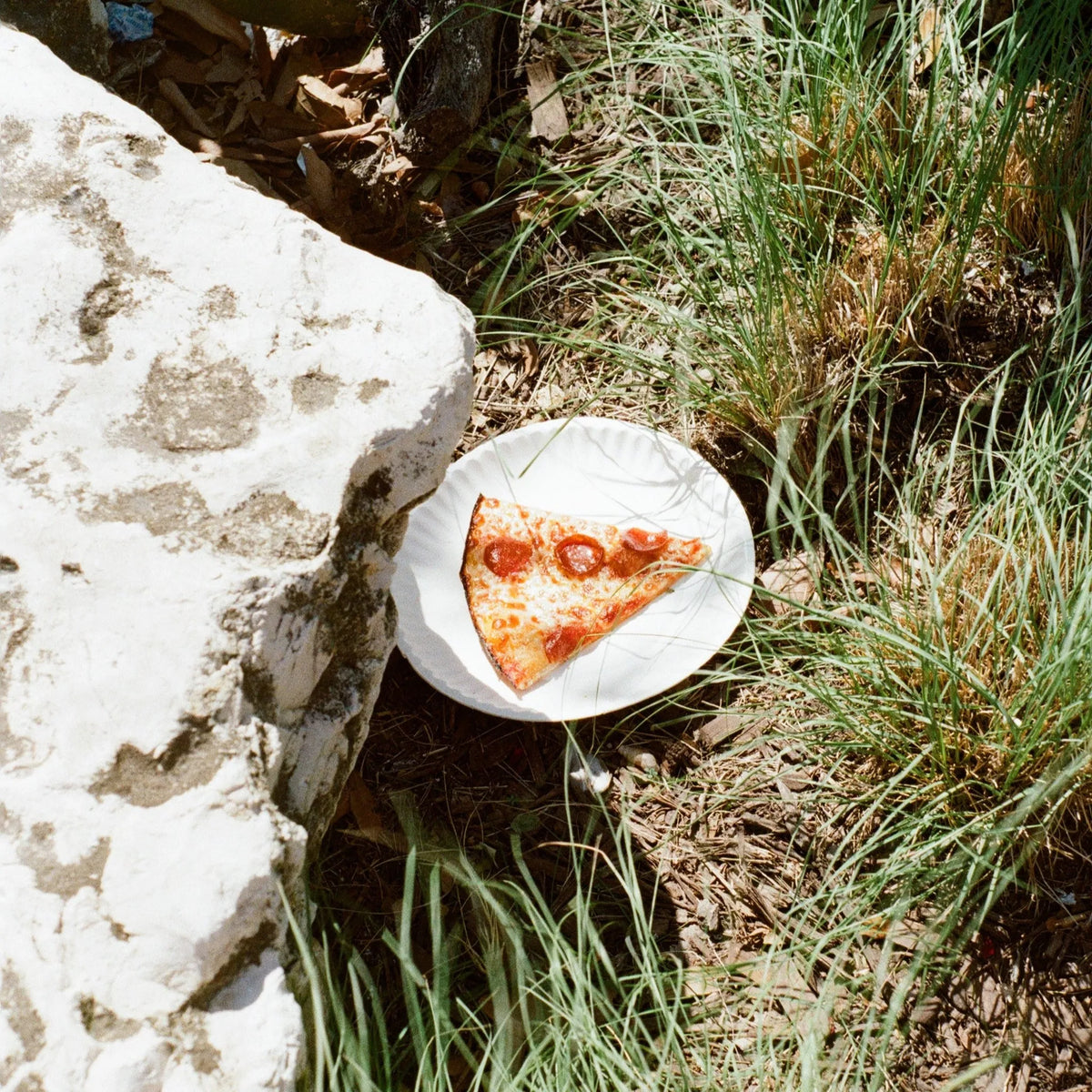 Pizza Photographed with a Canon AE-1 35mm film camera