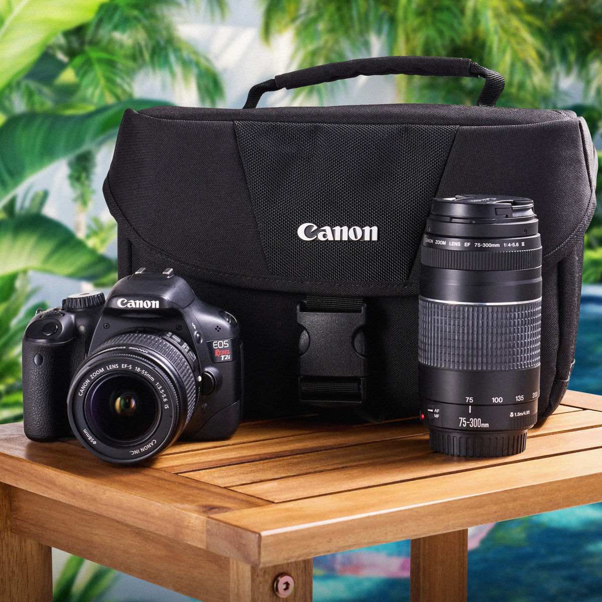 Canon Rebel T2i dual-lens kit with DSLR body, two lenses and Canon camera bag