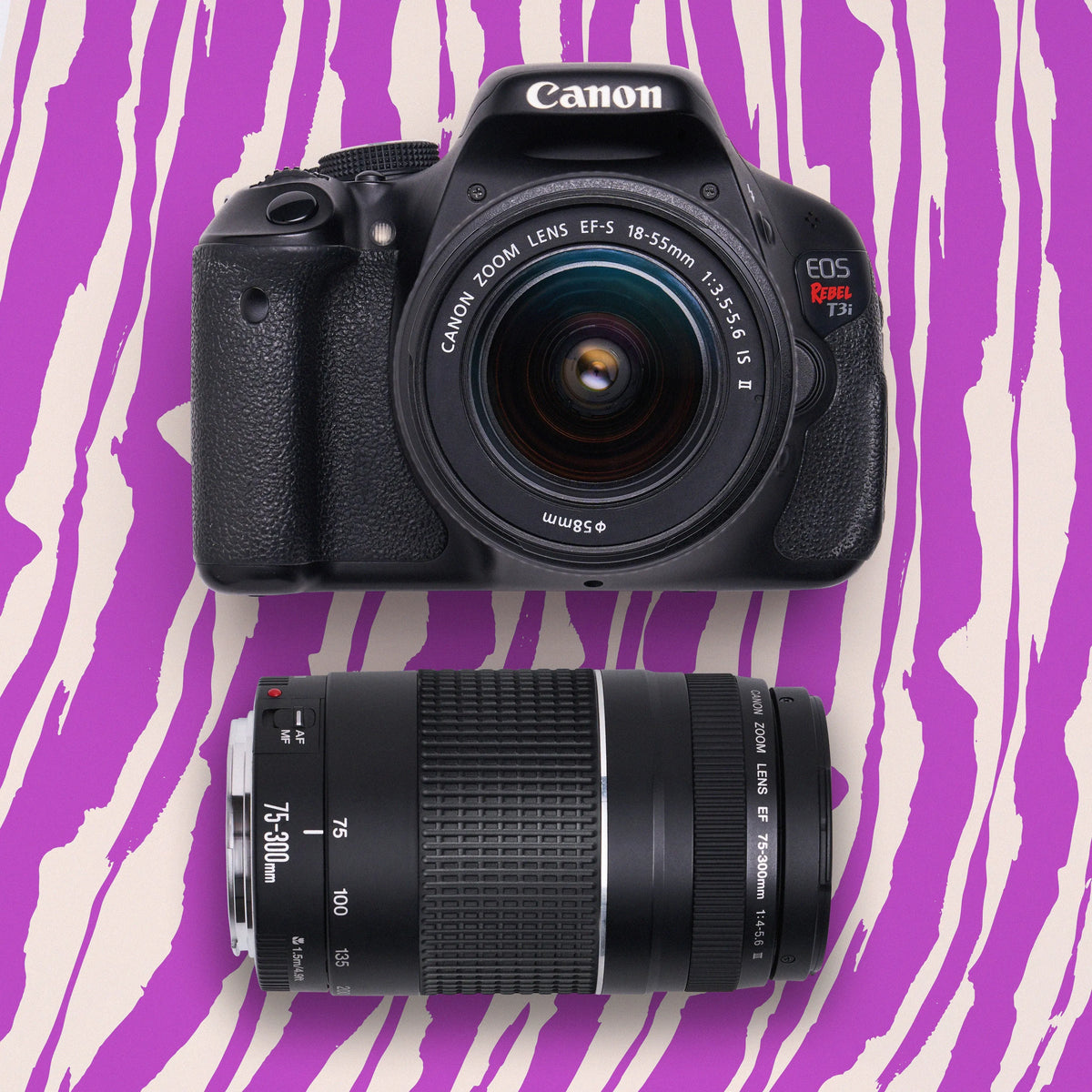 Canon Rebel T3i DSLR camera with 18–55mm and 75–300mm lenses on a purple patterned background