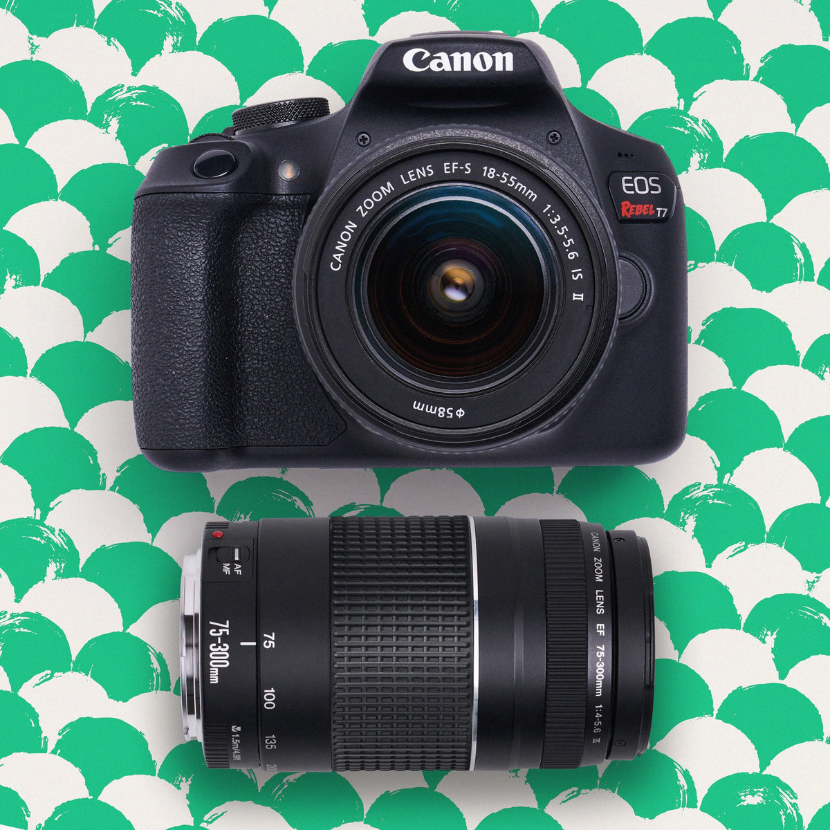 Canon Rebel T7 DSLR camera with 18–55mm and 75–300mm lenses on a green patterned background