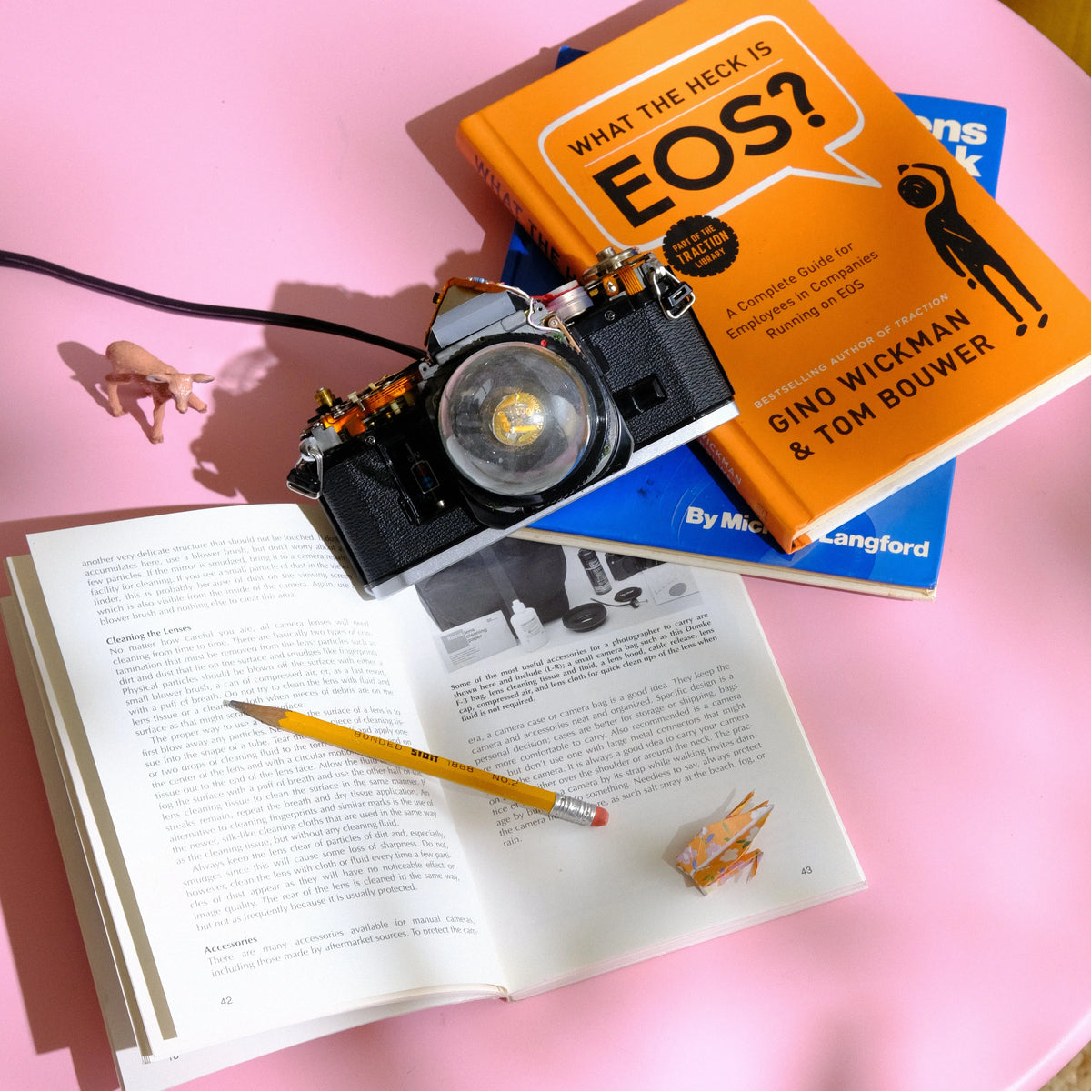 Cute Camerea Co. SLR Camera Lamp