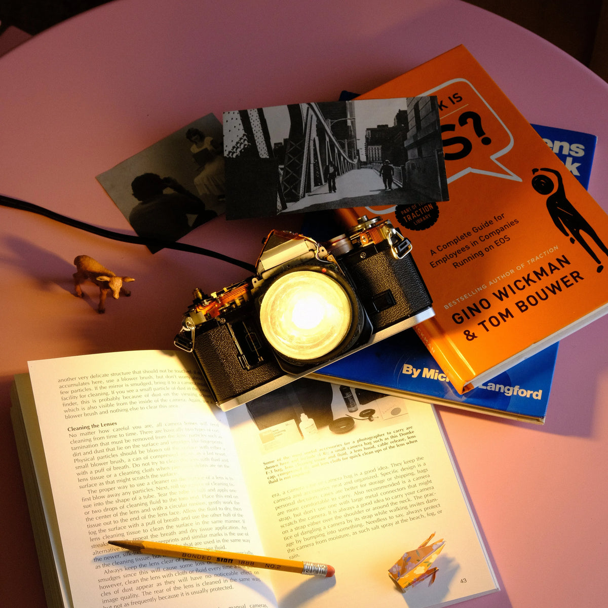 Cute Camerea Co. SLR Camera Lamp