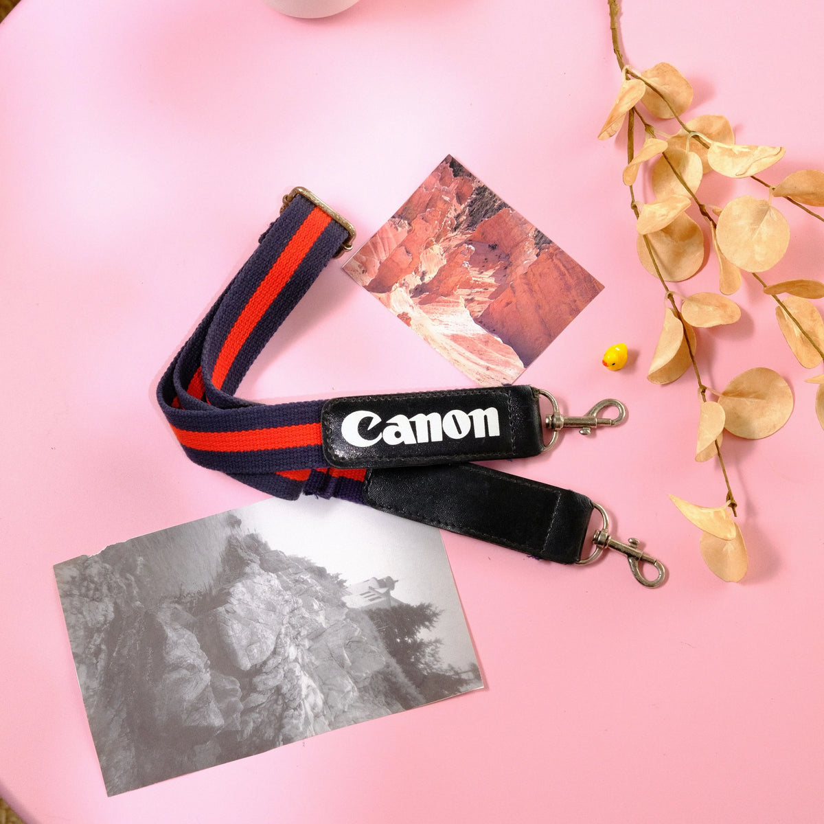 True Vintage: Canon Blue & Red Camera Strap (1980s)