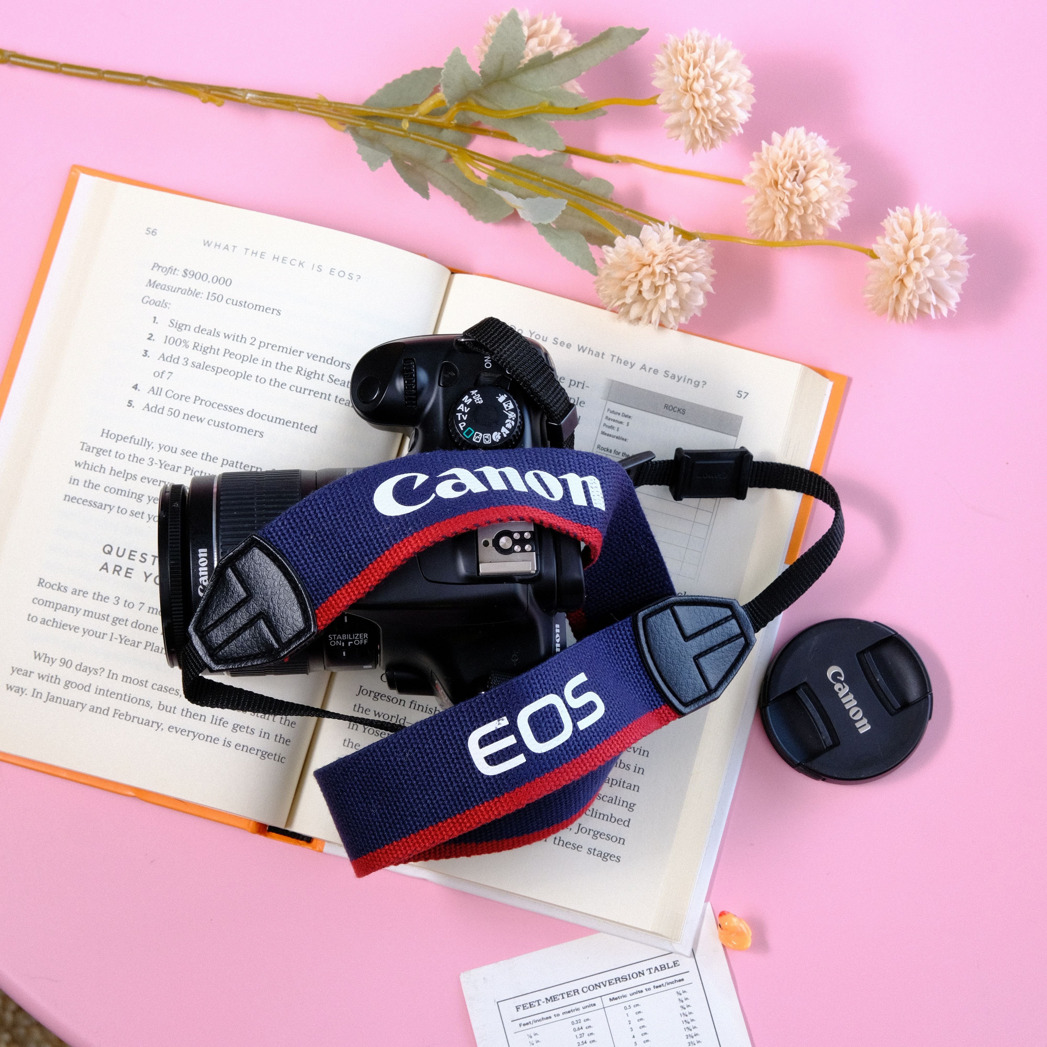True Vintage: Blue and Red Canon EOS Woven Camera Strap (2000)