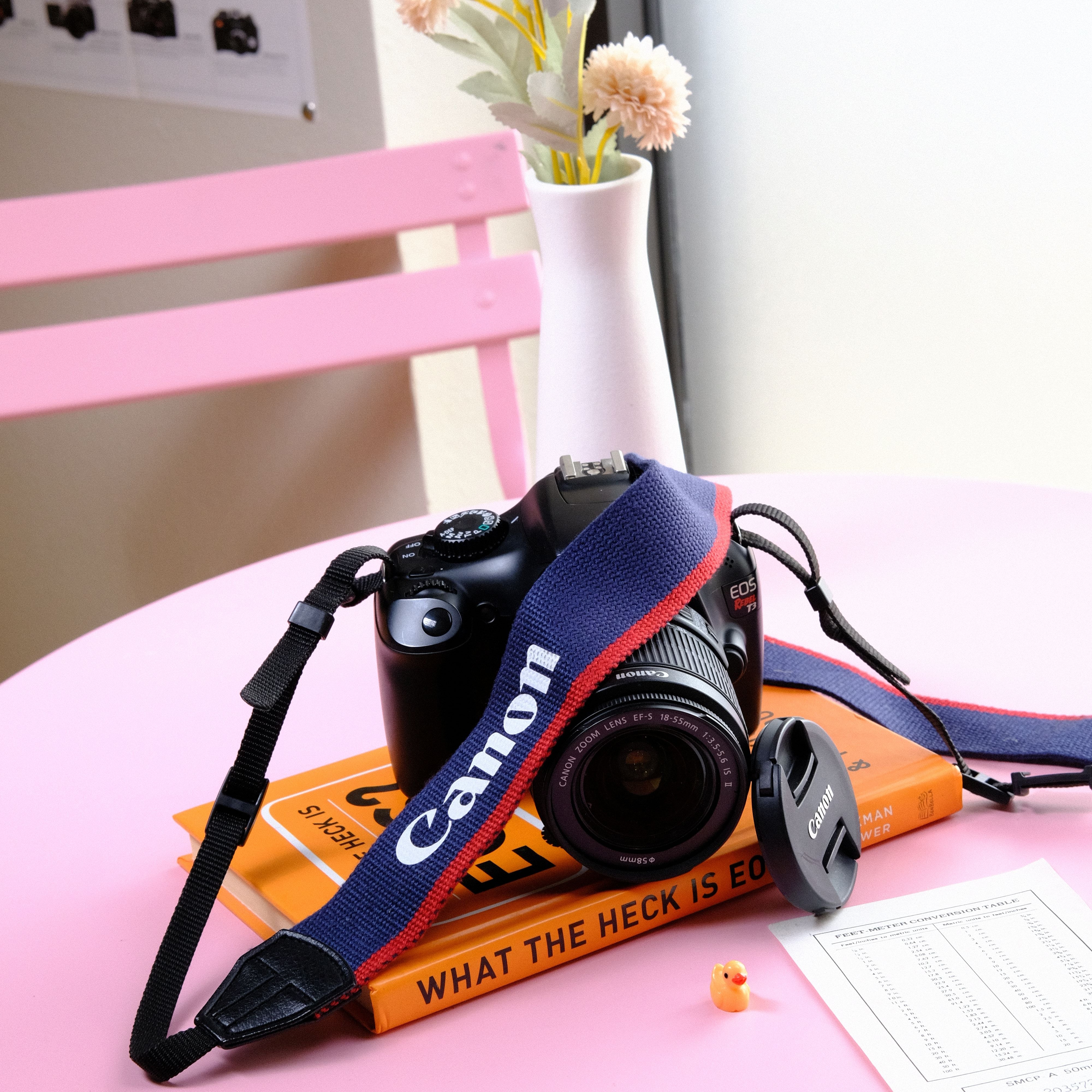 True Vintage: Blue and Red Canon EOS Woven Camera Strap (2000)