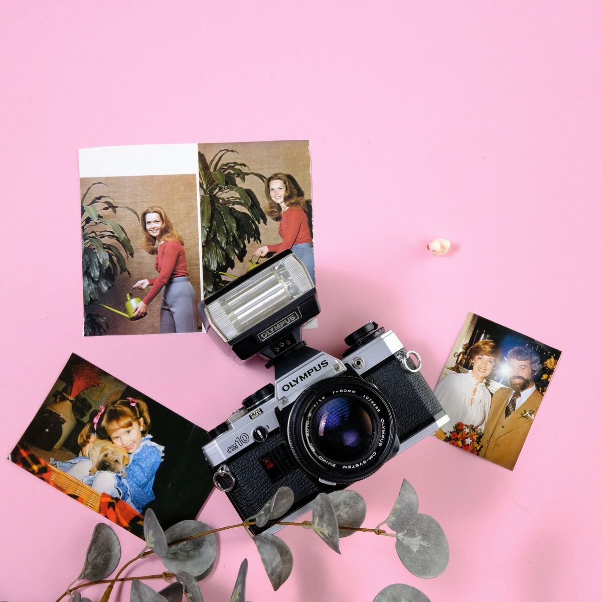 Olympus Electronic Flash T20