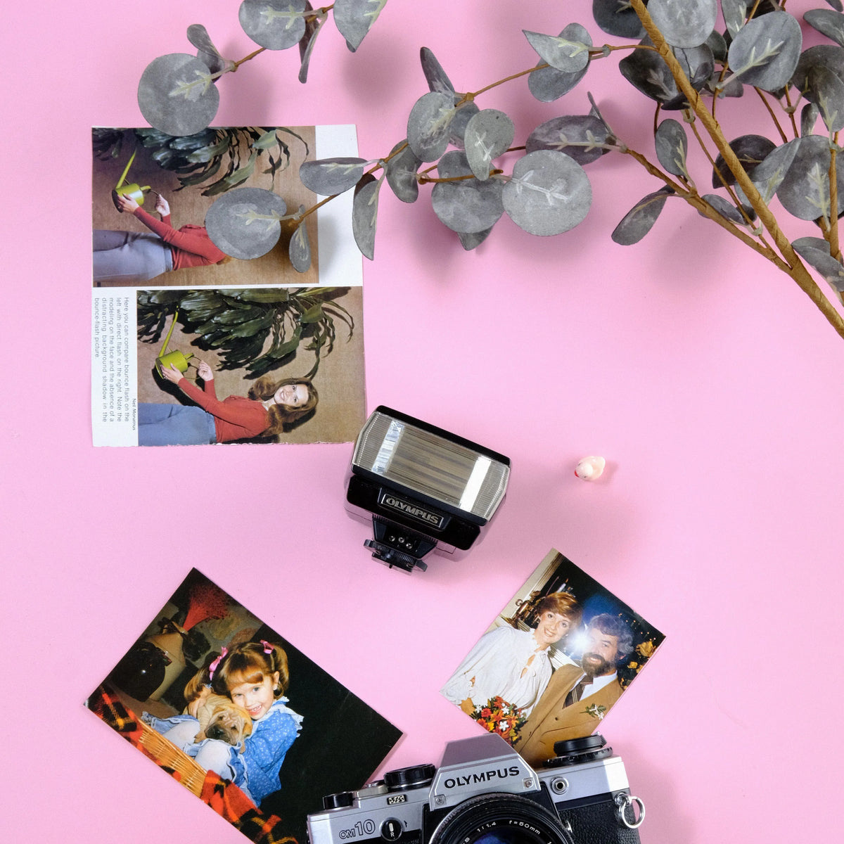 Olympus Electronic Flash T20