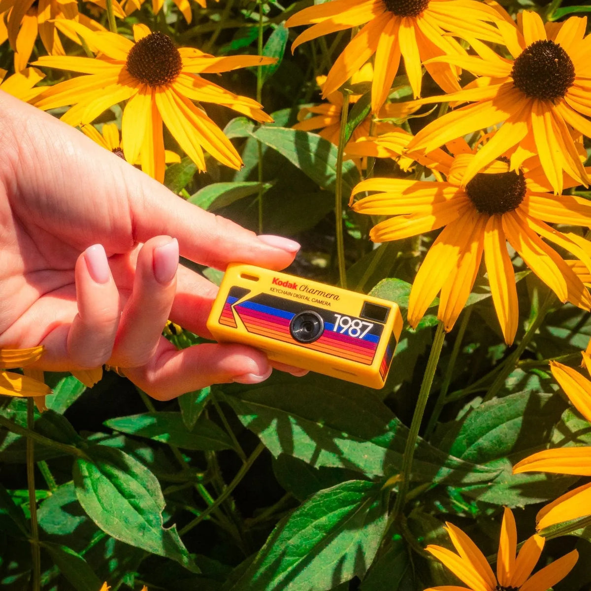 Kodak Charmera | Keychain Digital Camera Blind box