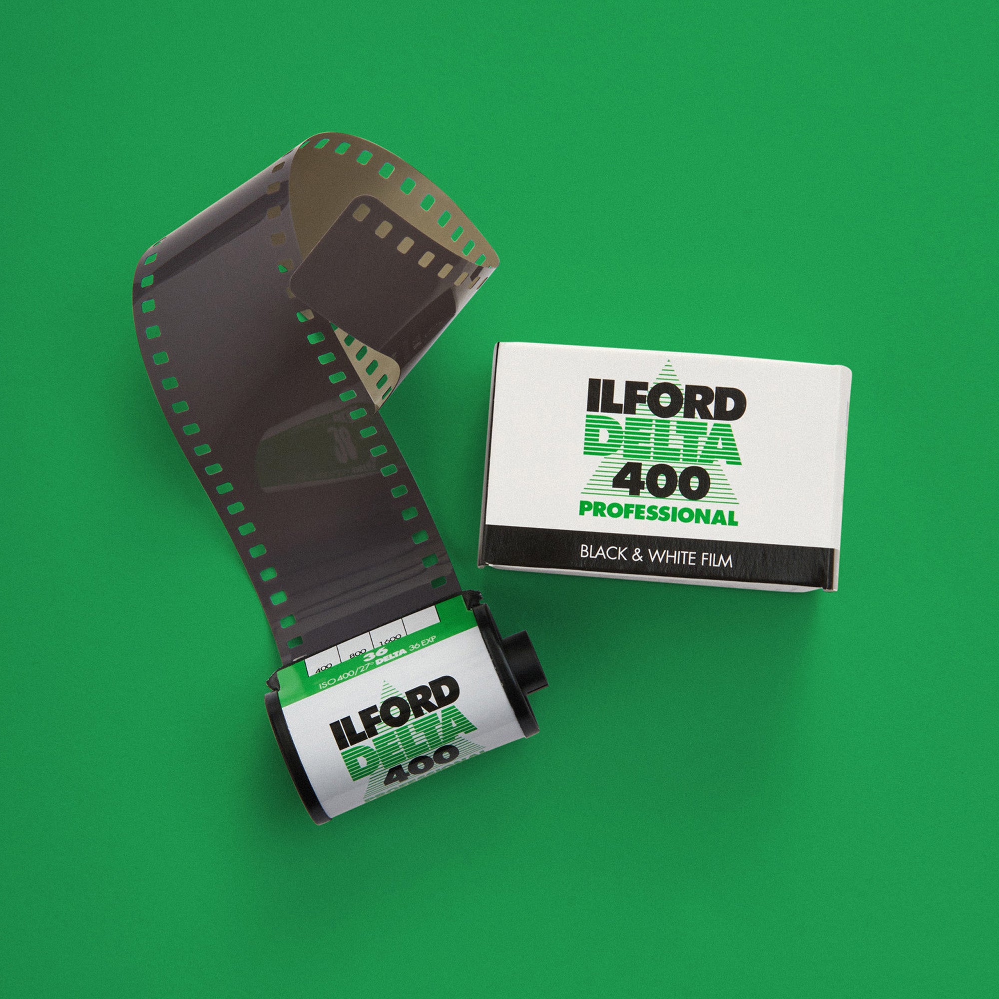 Ilford Delta 400 - 35mm Black and White Film