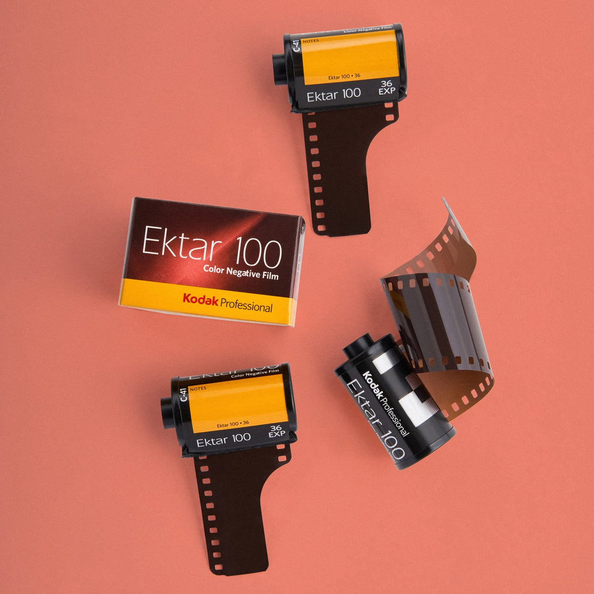 Kodak Ektar 100 - 35mm Color Film