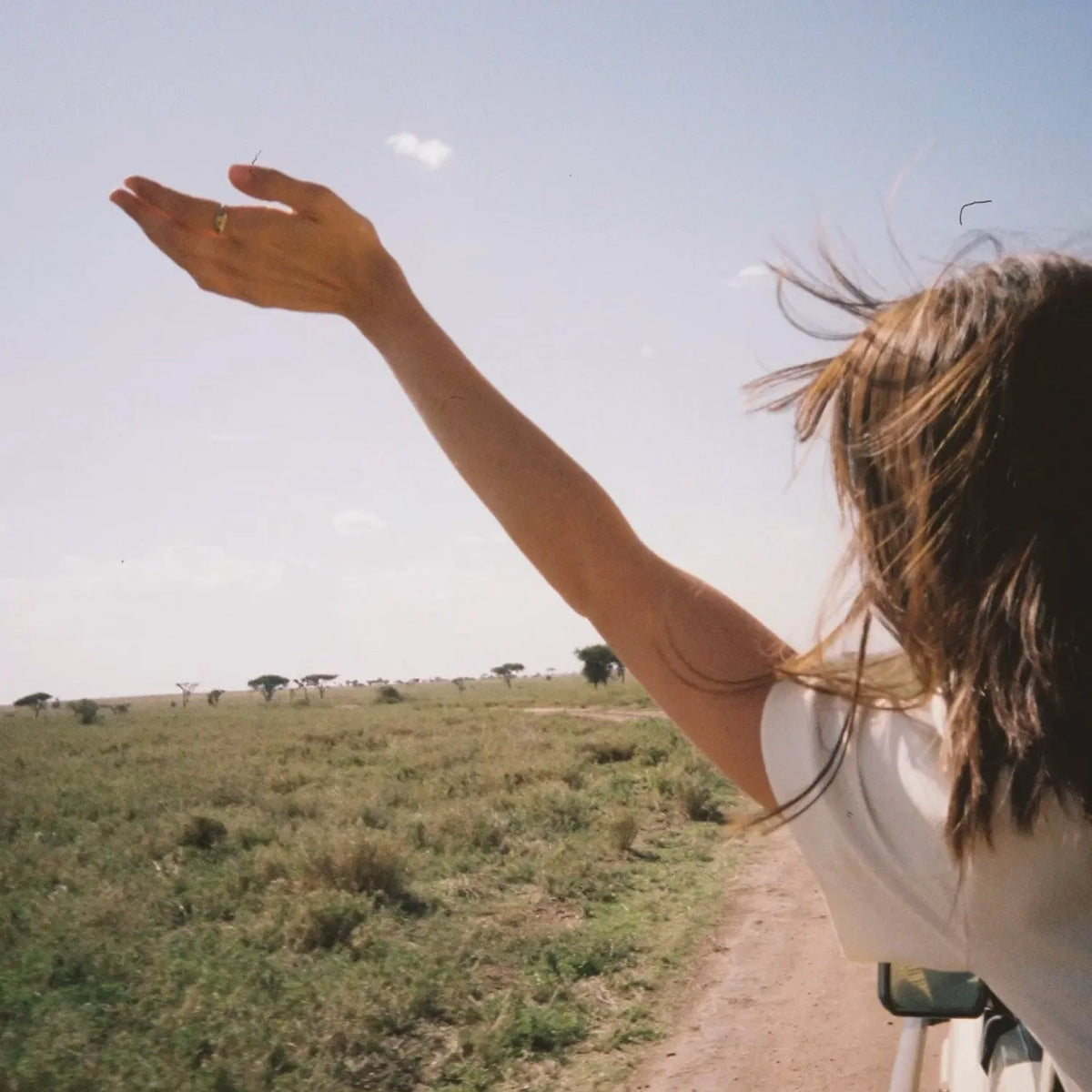 Person with outstretched arm in a grassy field under a clear sky taken with a Minolta X-700 | 35mm Film Camera
