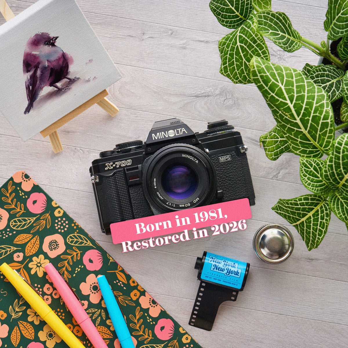 Minolta X-700 | 35mm Film Camera on a wooden surface with stationery items and a plant